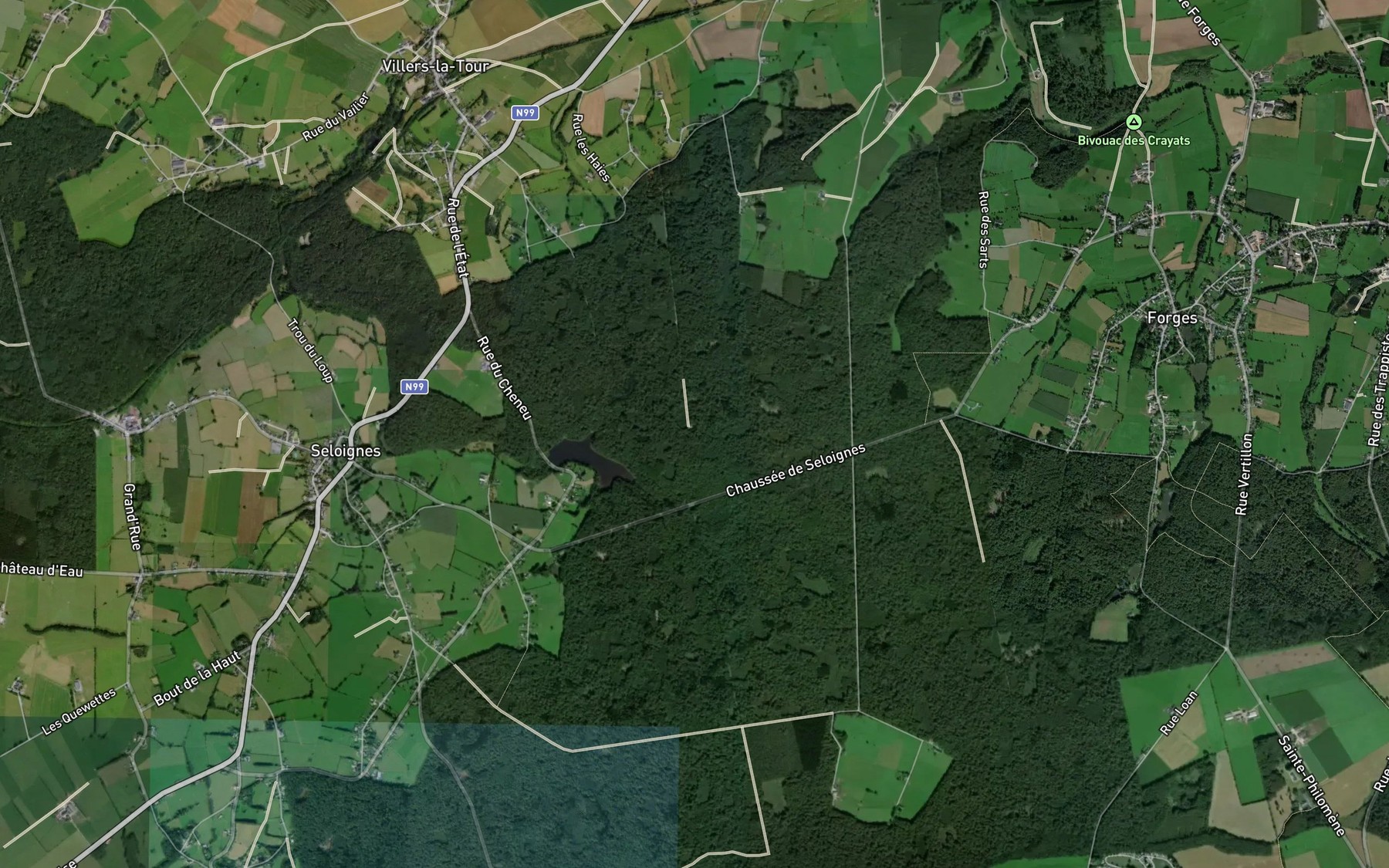Satellite map of the Etang de Seloignes