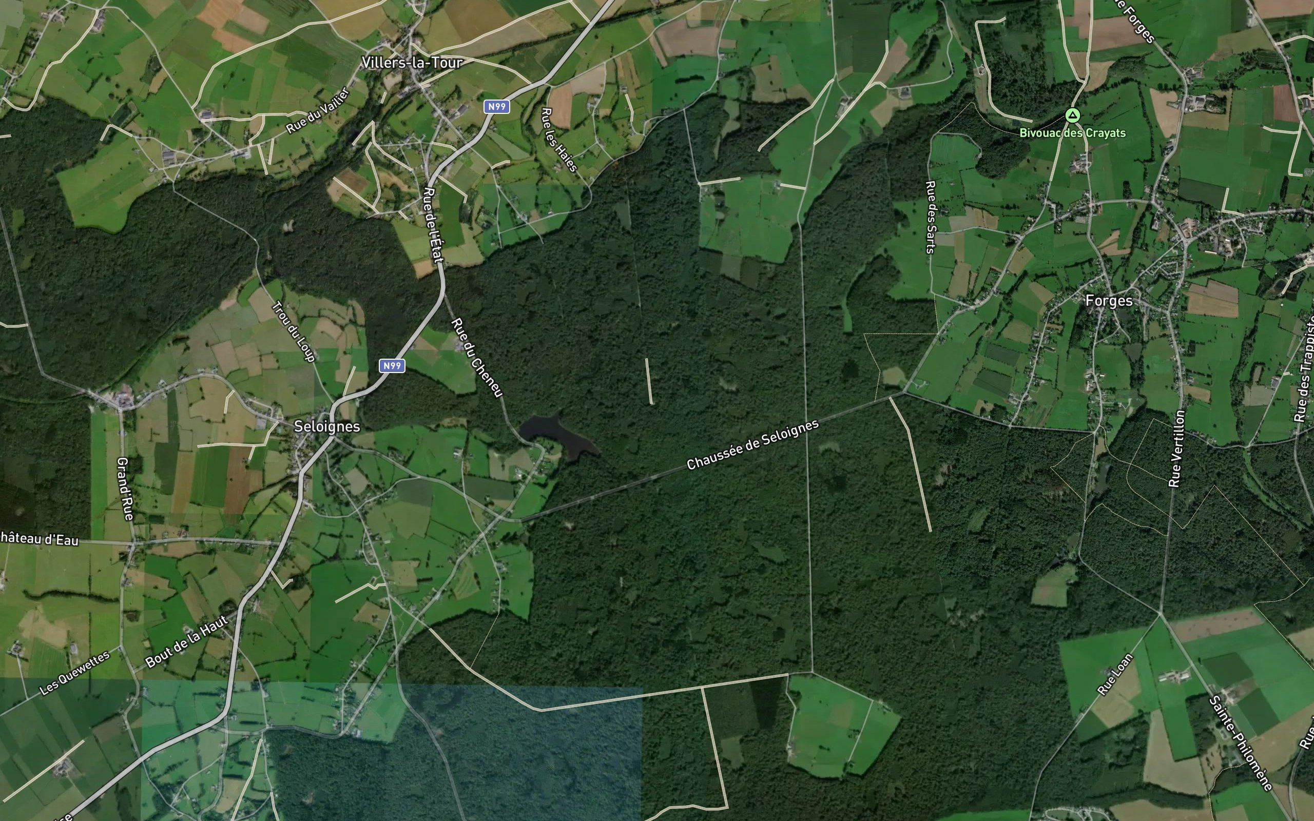 Etang de Seloignes
