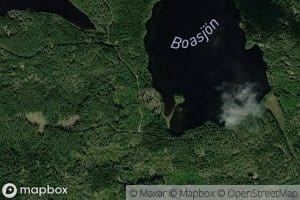 Boasjon