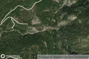 Bassi Fork