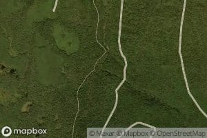 Mount Field Brook