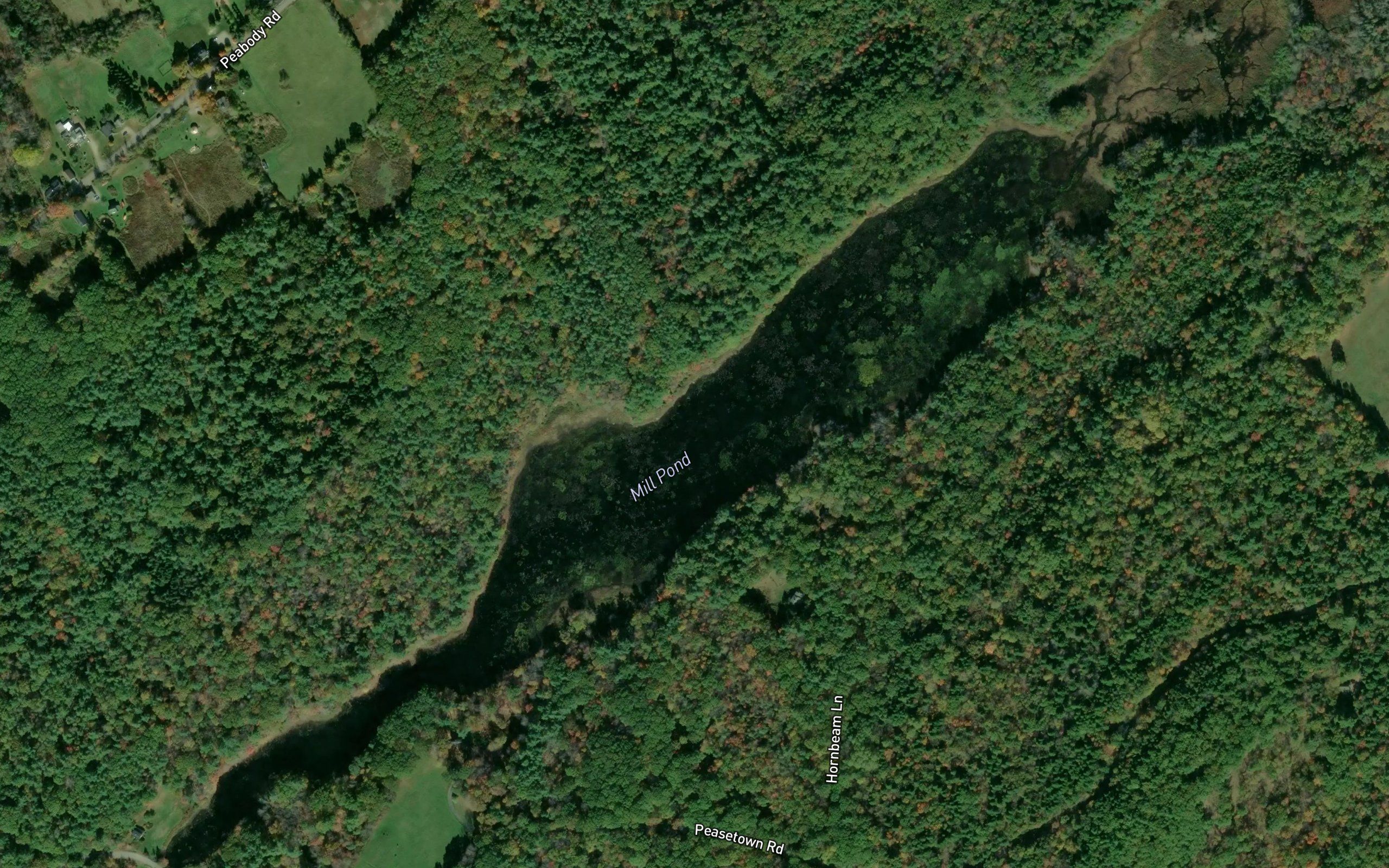 Mill Pond