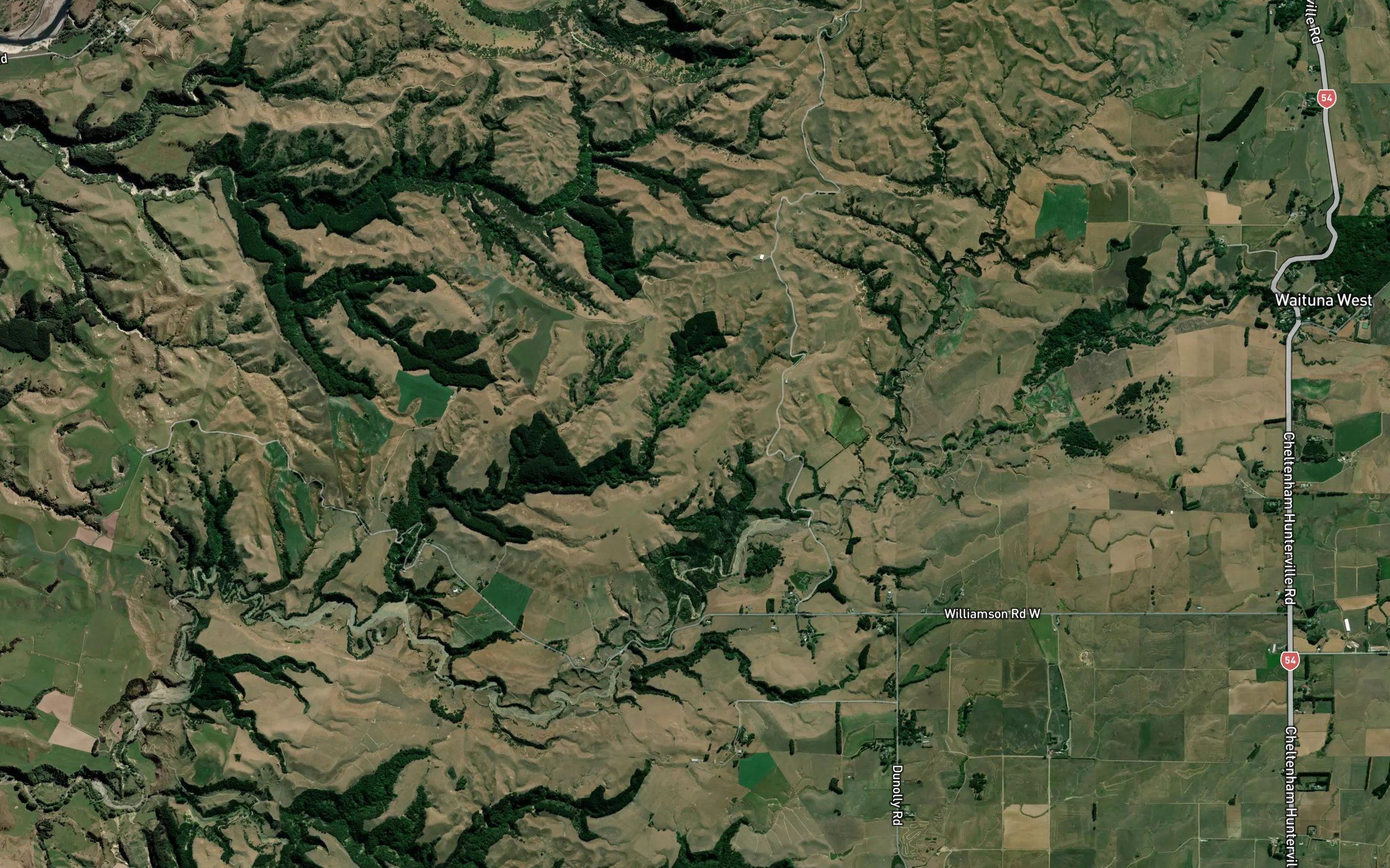 Waituna Stream