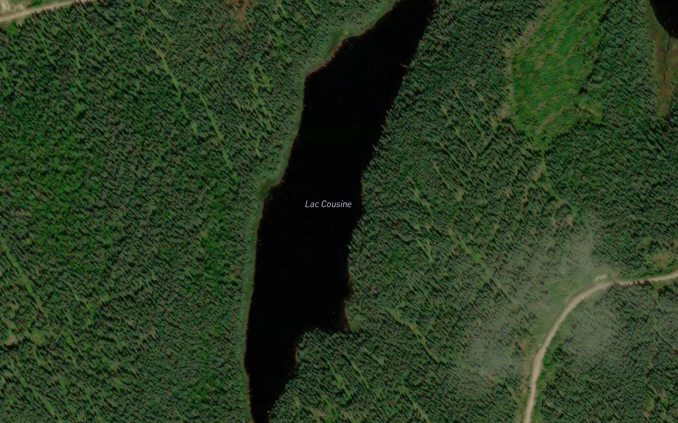 Lac Cousine