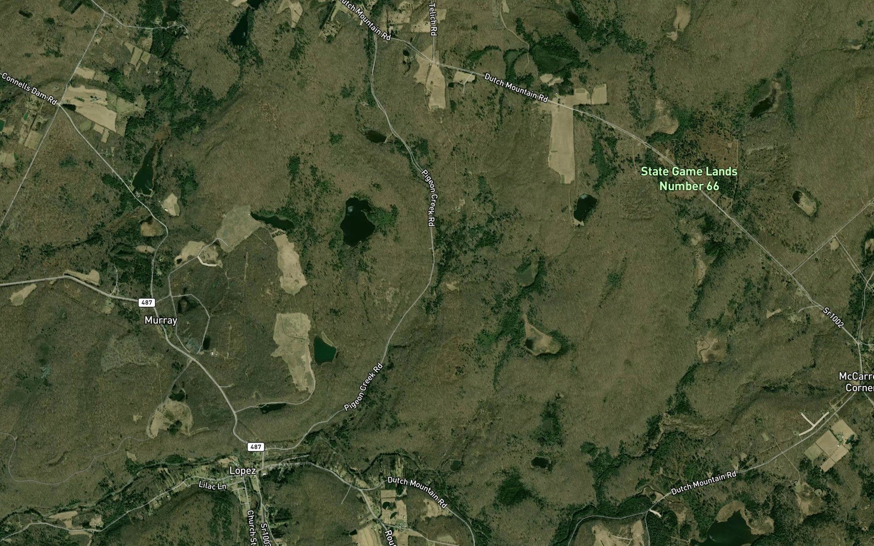 Satellite map of the Flag Marsh Run