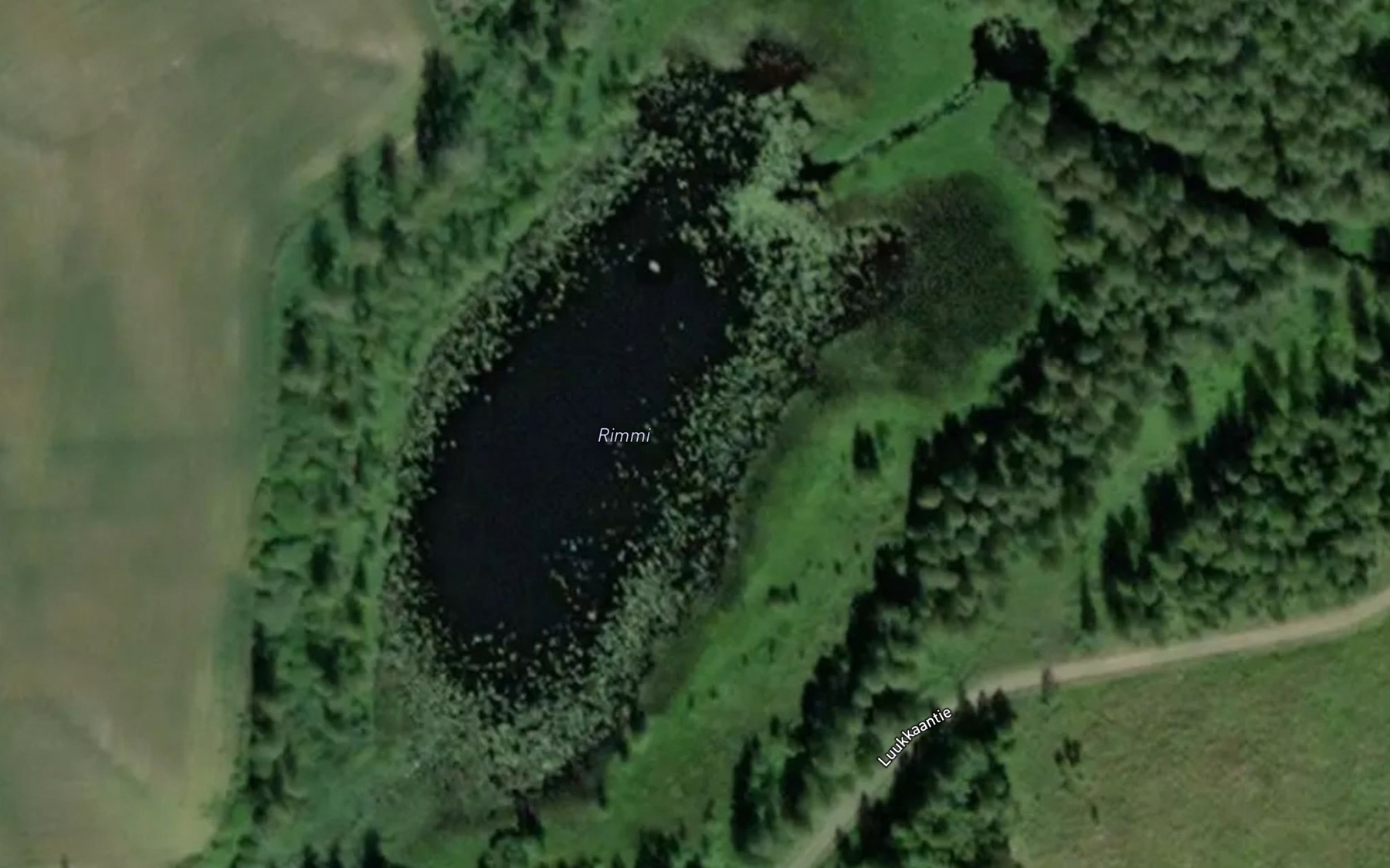 Satellite map of the Rimmi