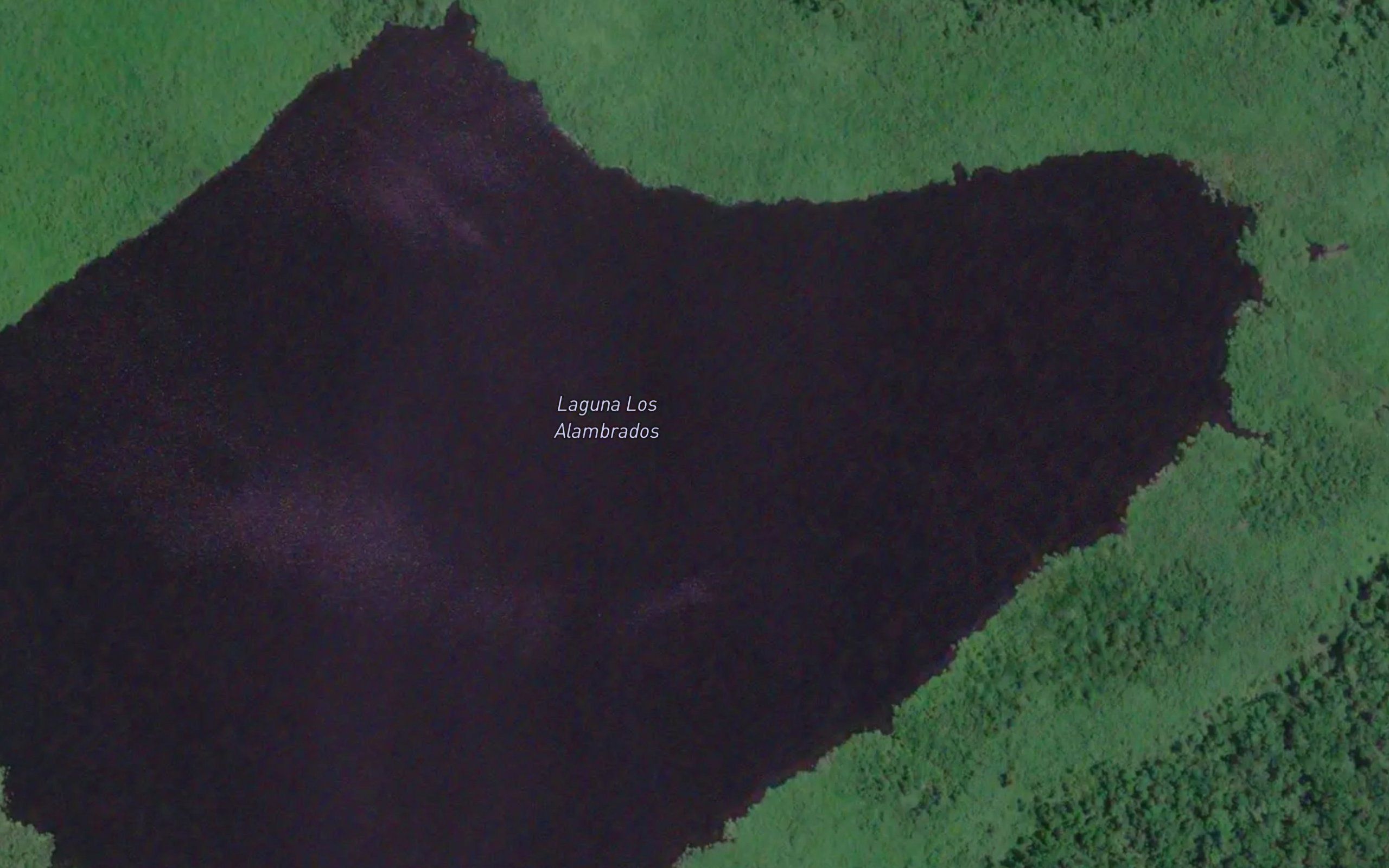 Laguna Los Alambrados
