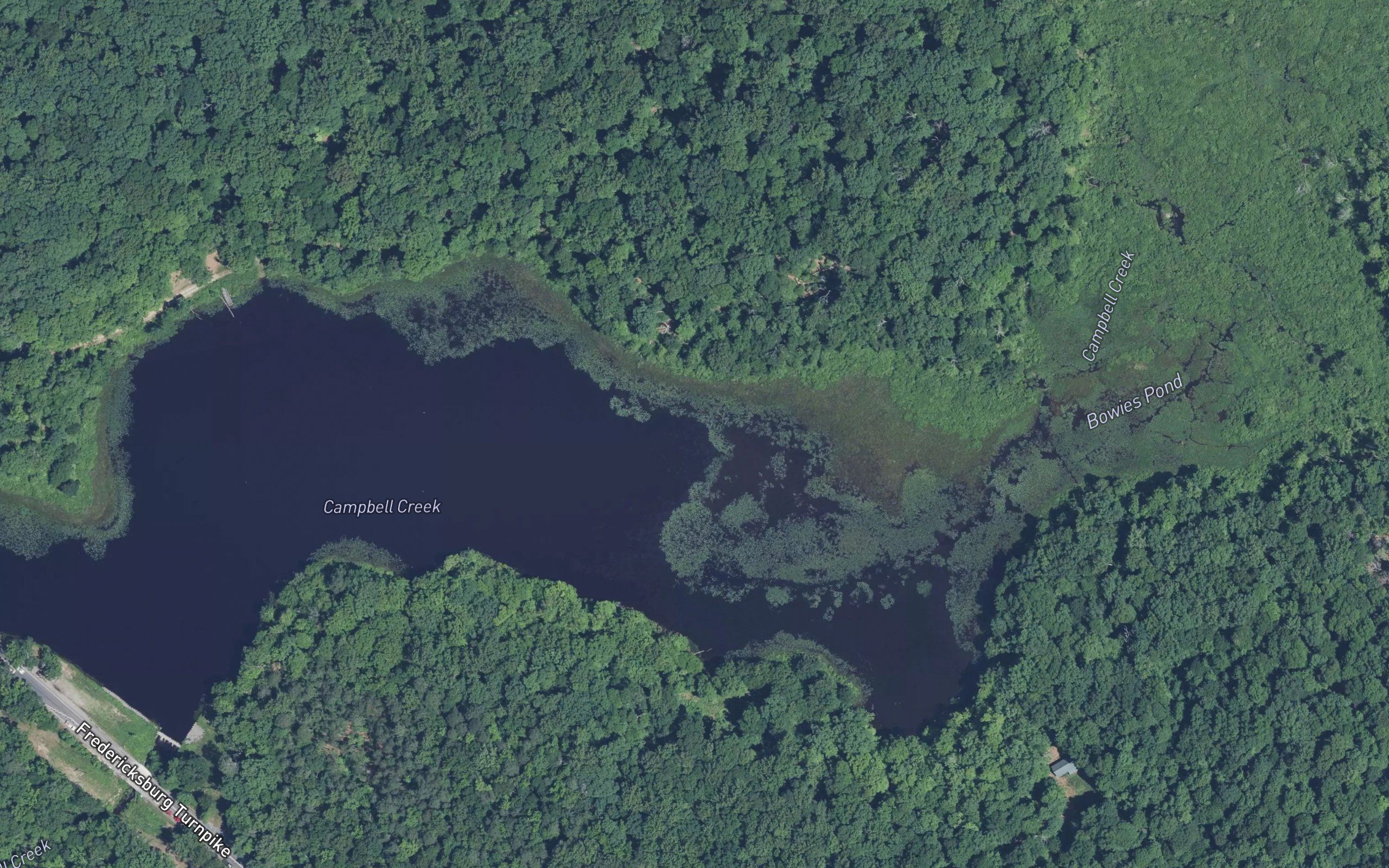 Bowies Pond