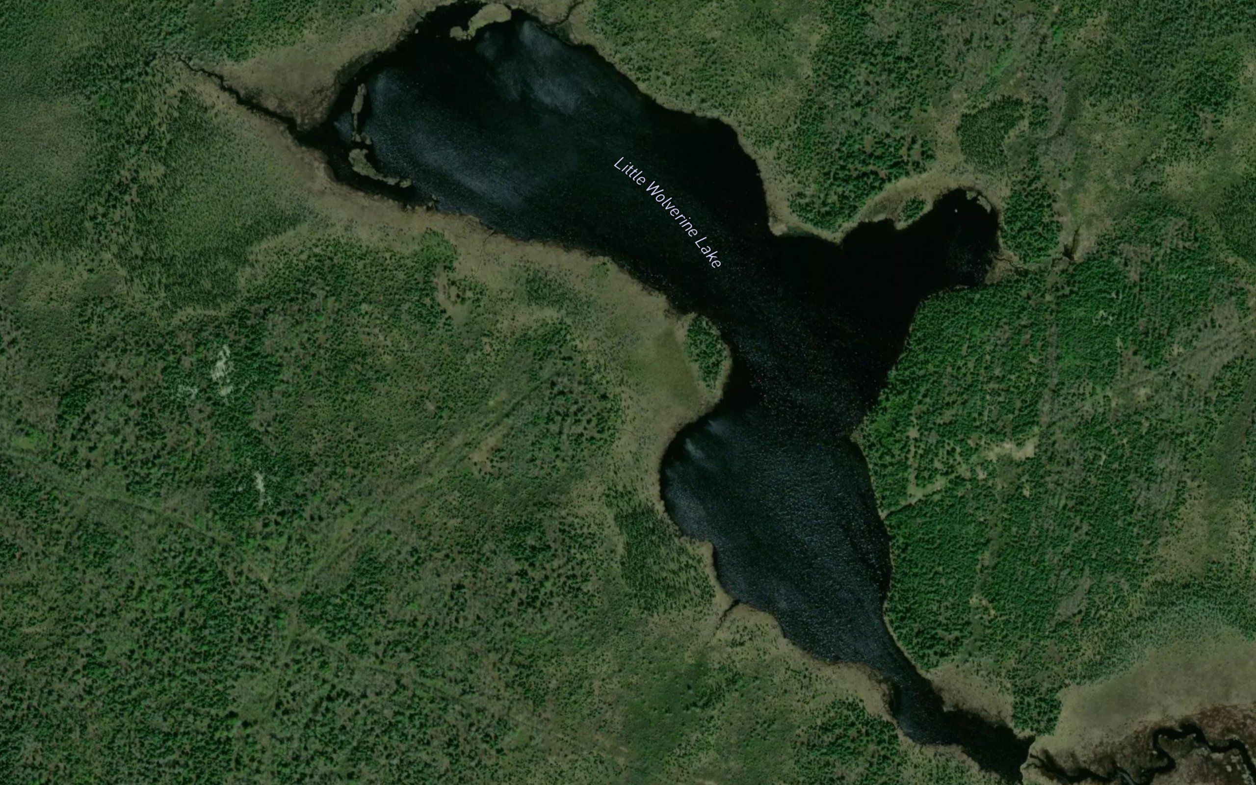 Little Wolverine Lake