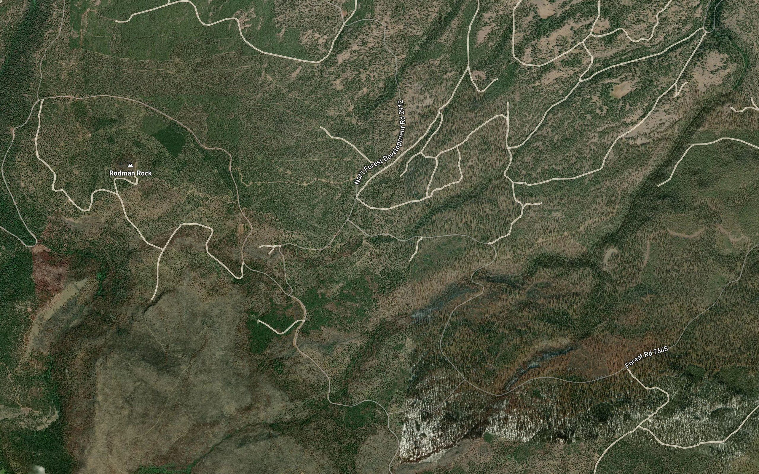 Section One Spring