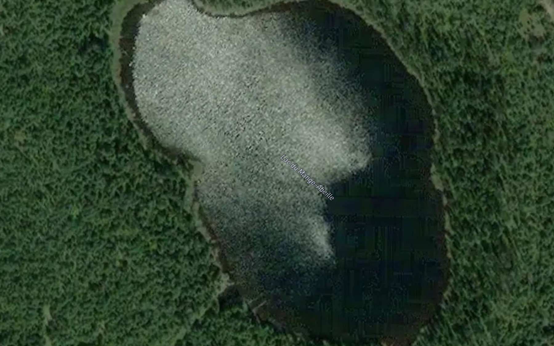 Satellite map of the Lac du Mange-Abeille