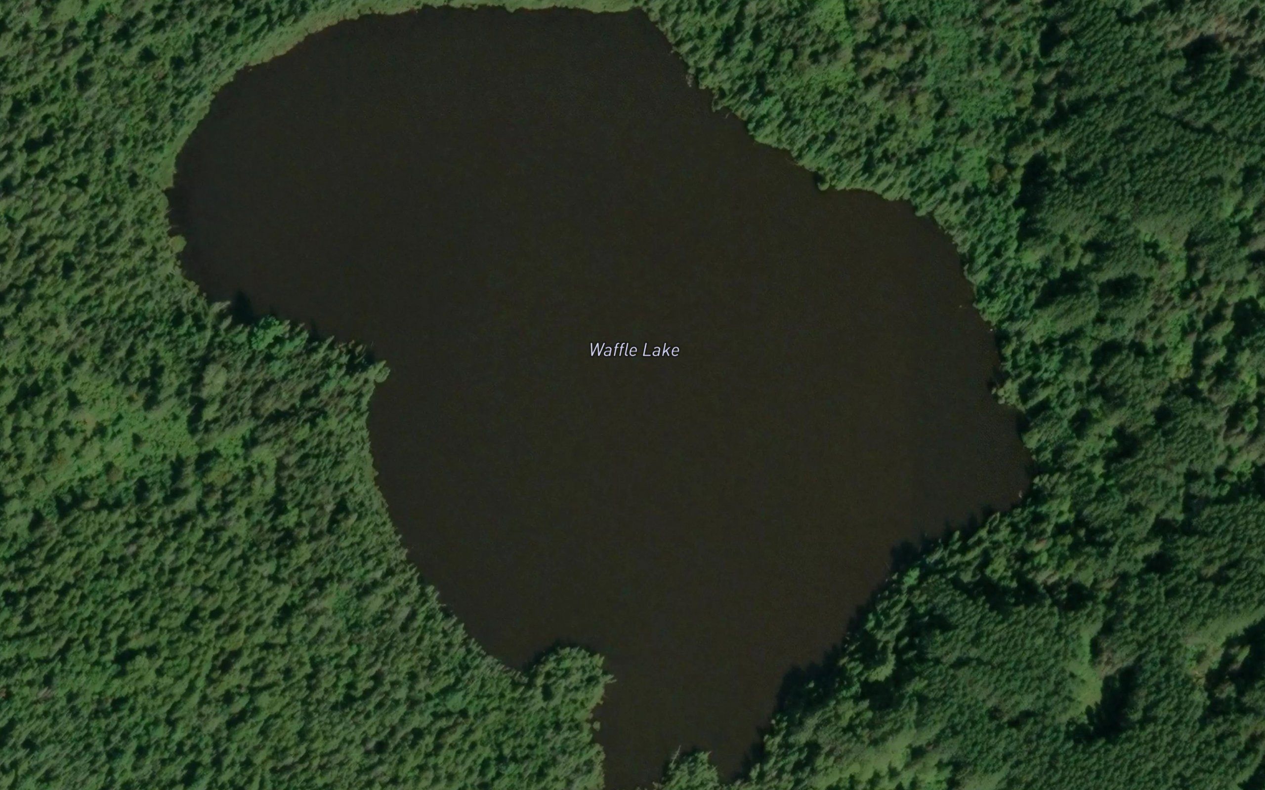 Waffle Lake