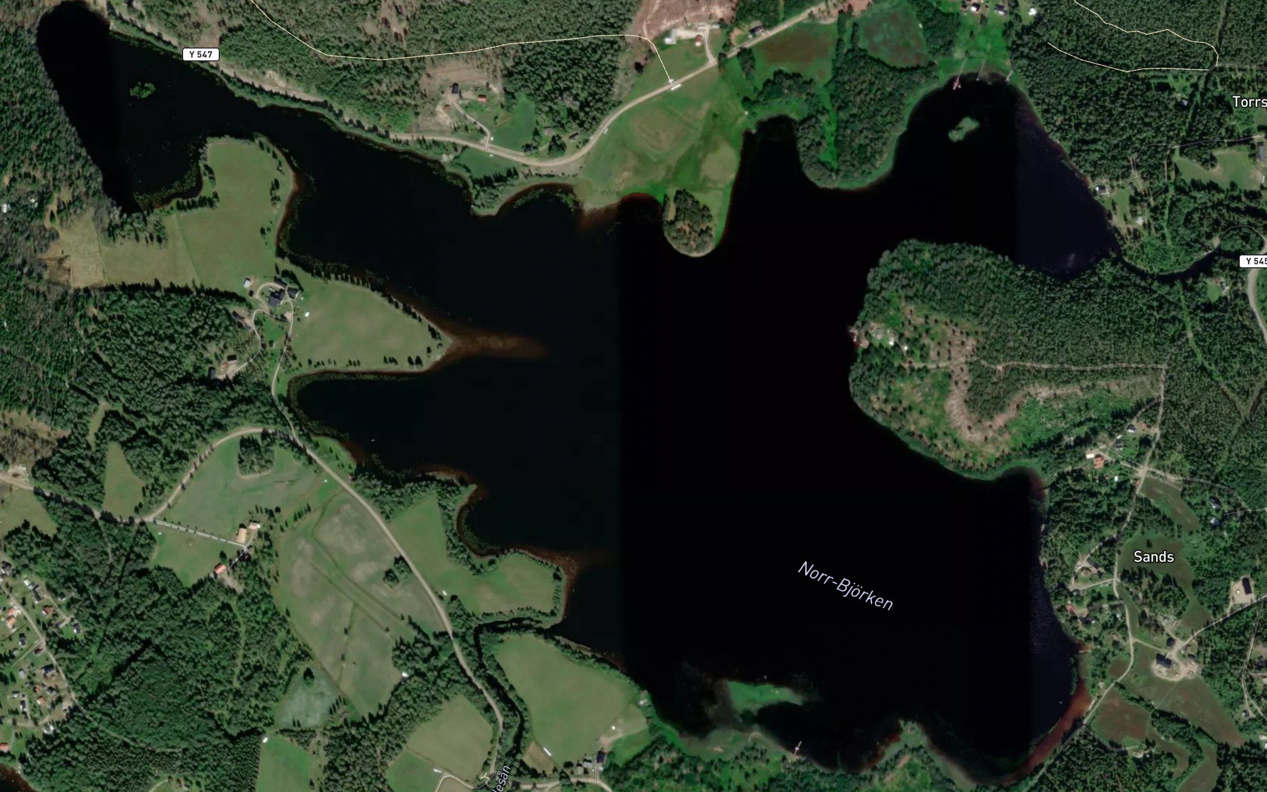 Norrbjorken
