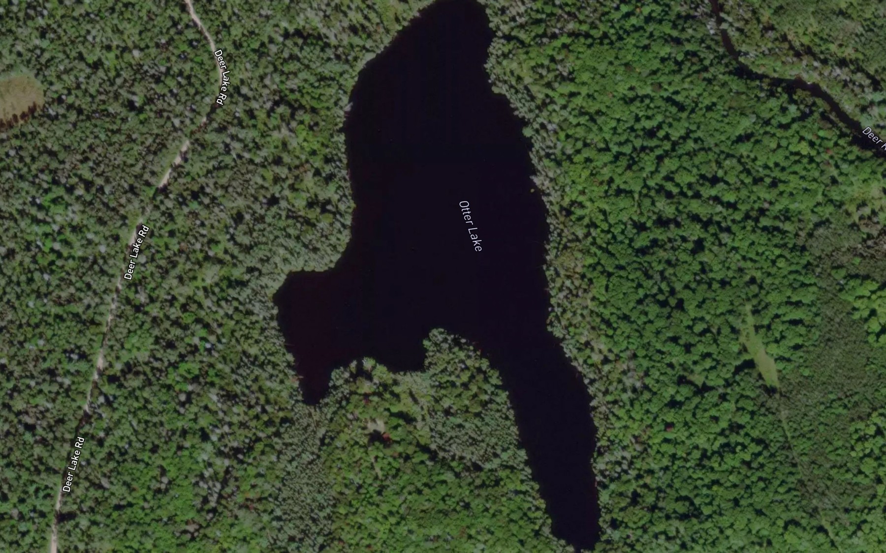 Satellite map of the Otter Lake