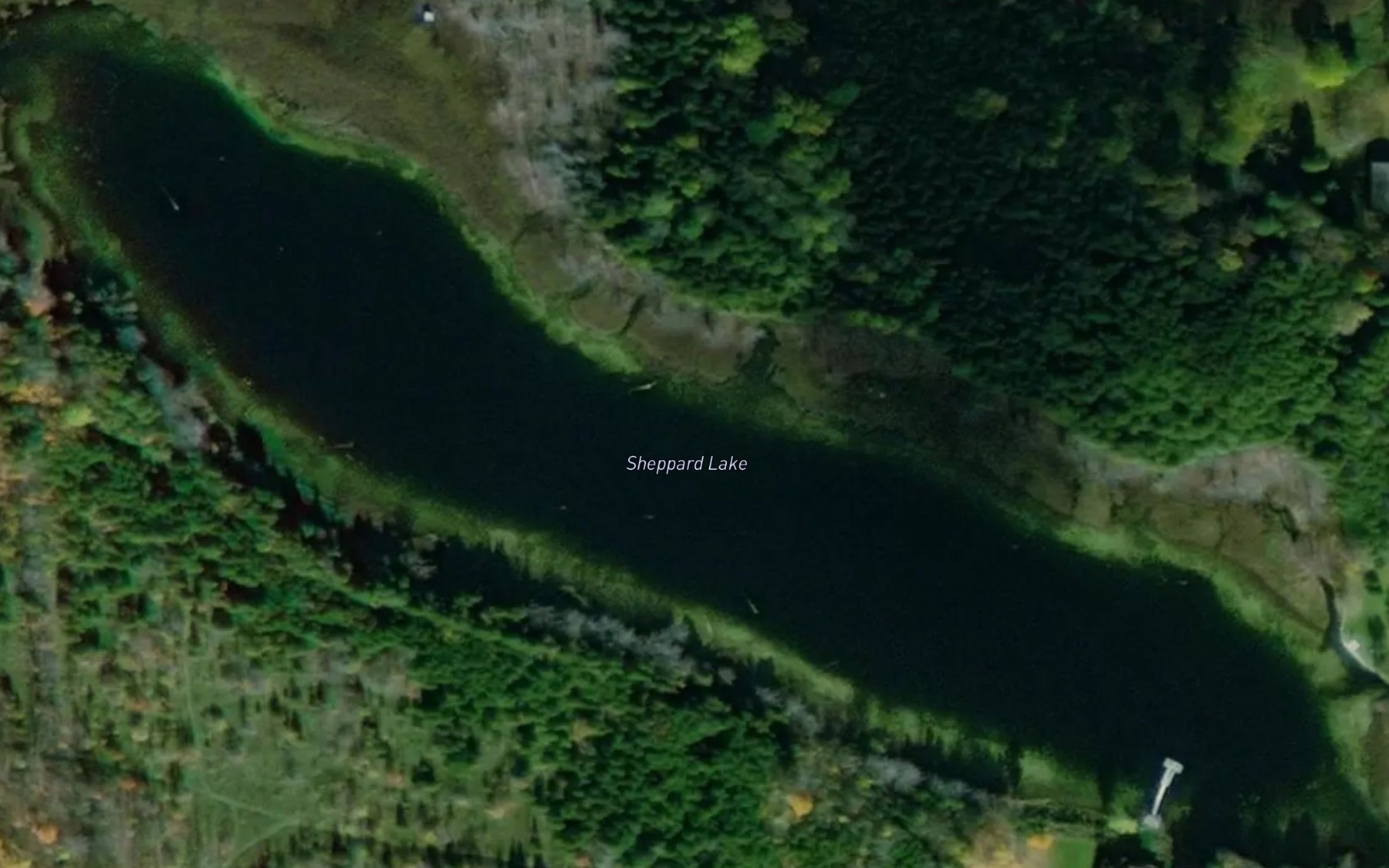 Satellite map of the Sheppard Lake