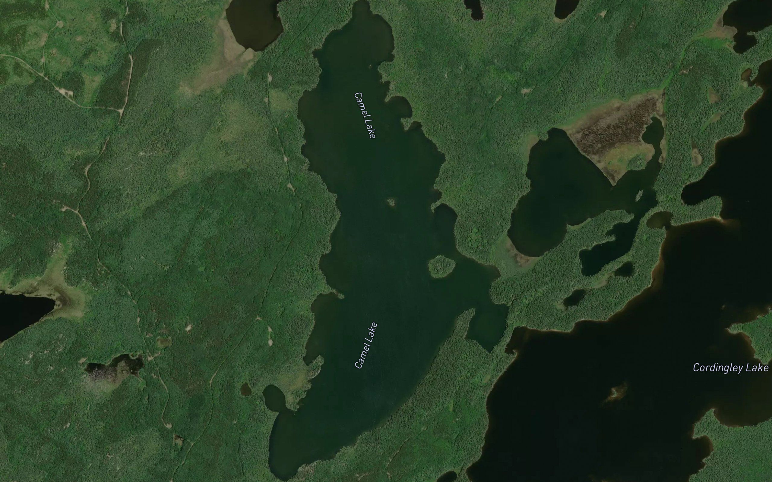 Camel Lake