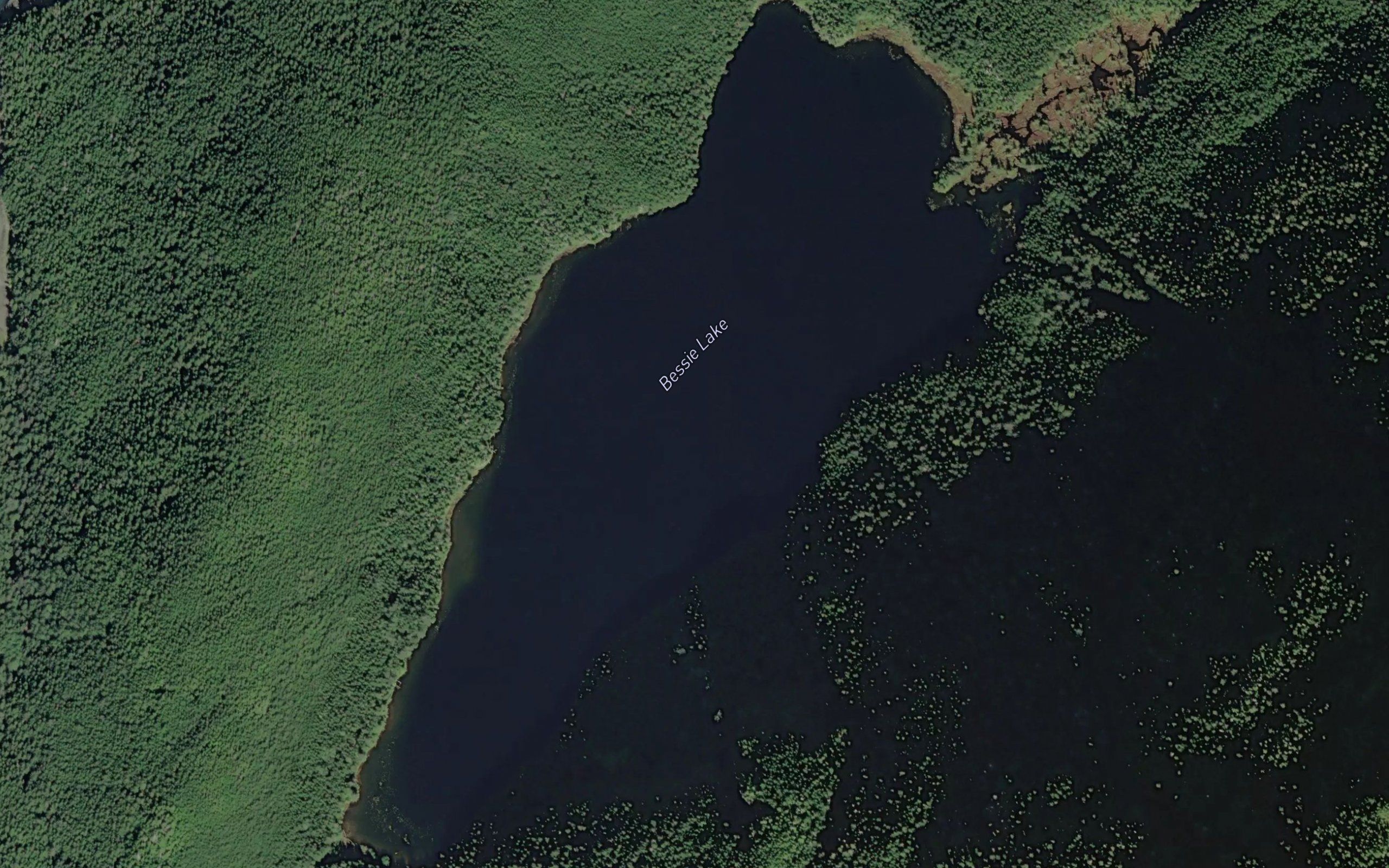 Bessie Lake