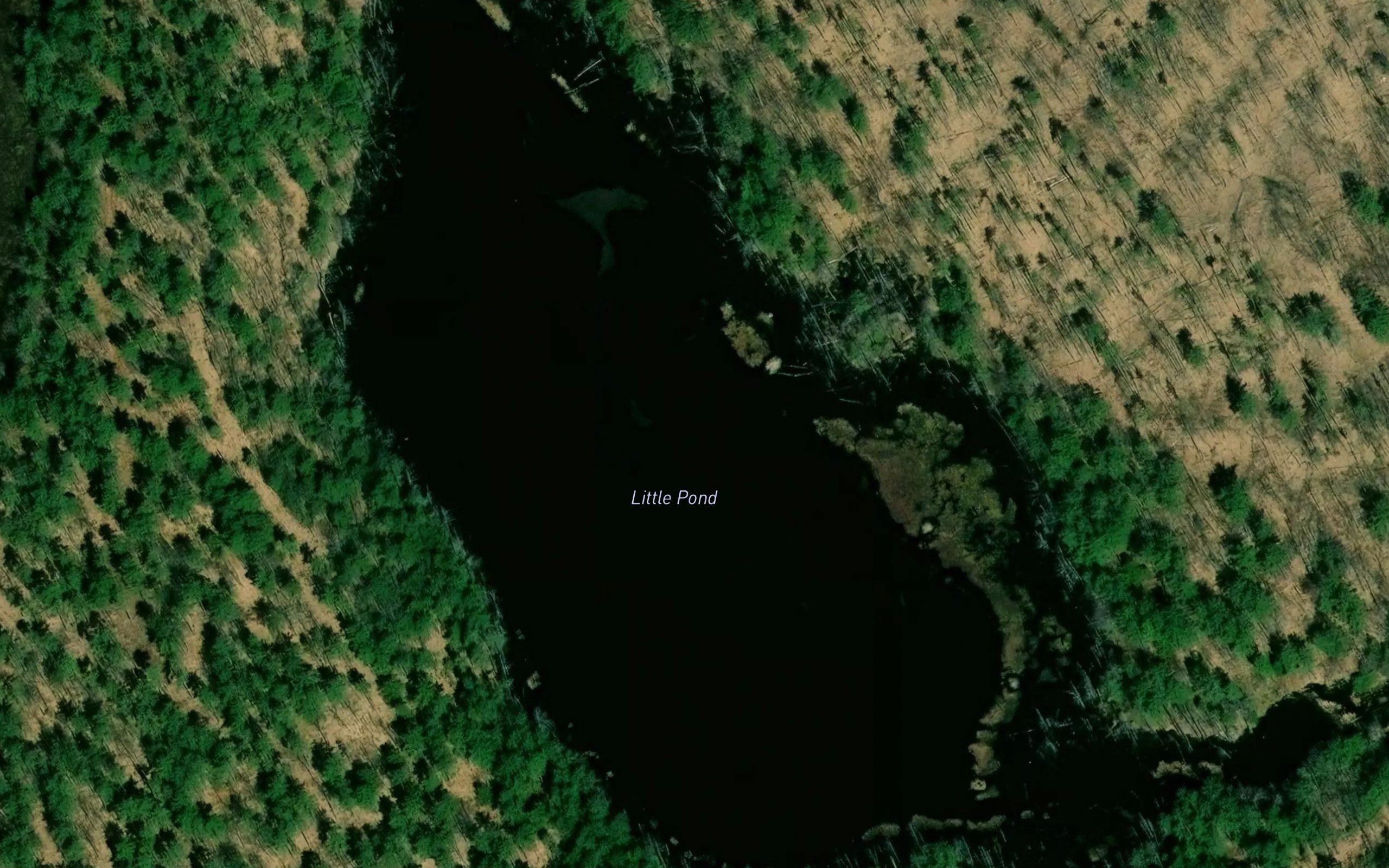 Little Pond