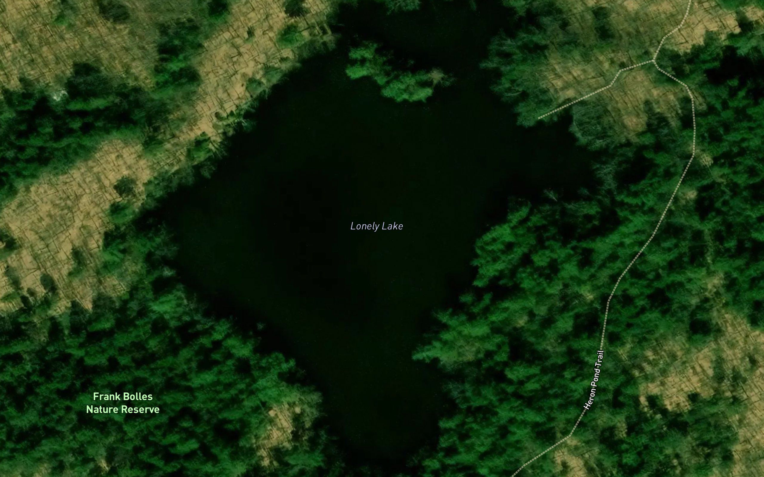 Lonely Lake