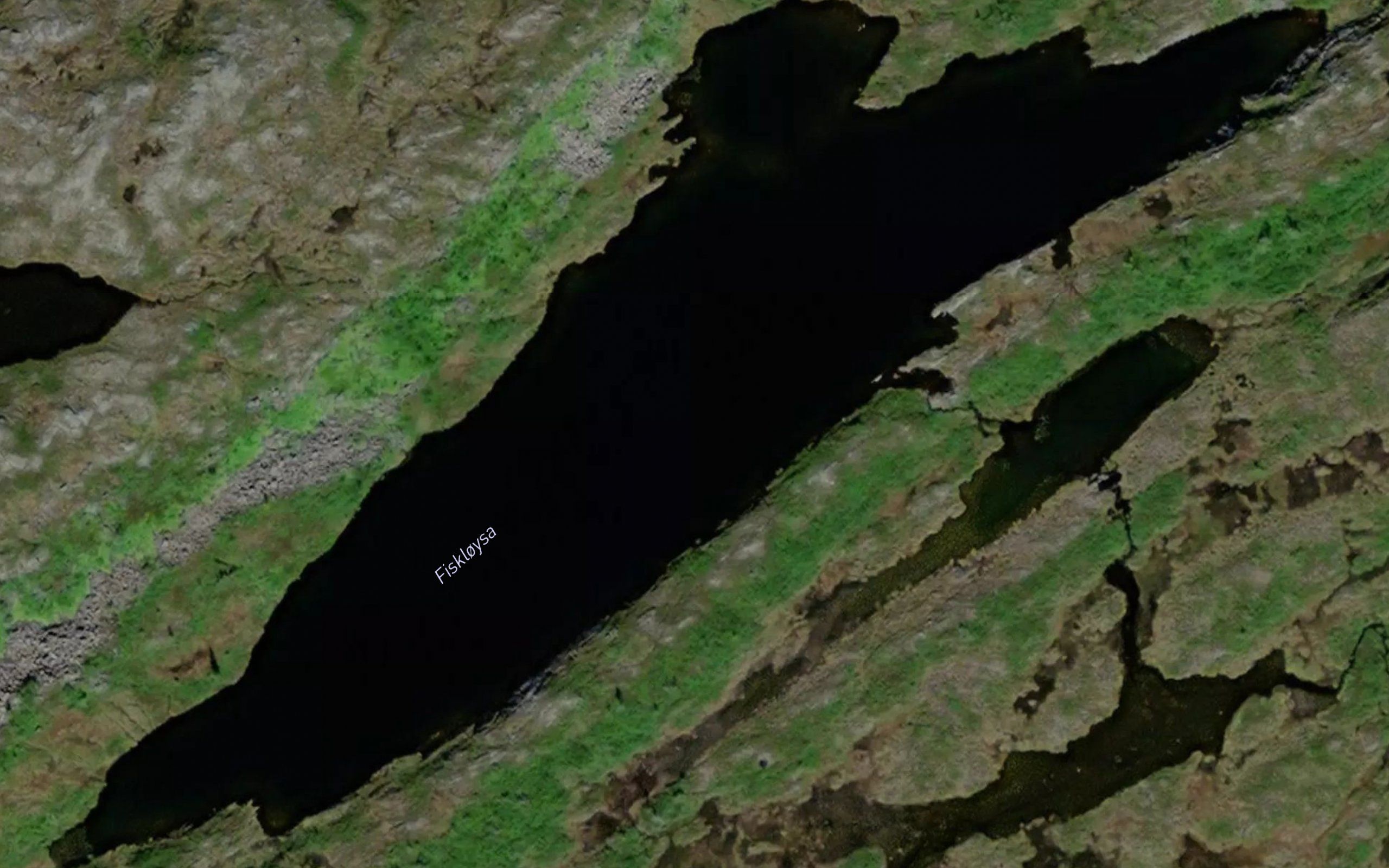 Fiskloysa