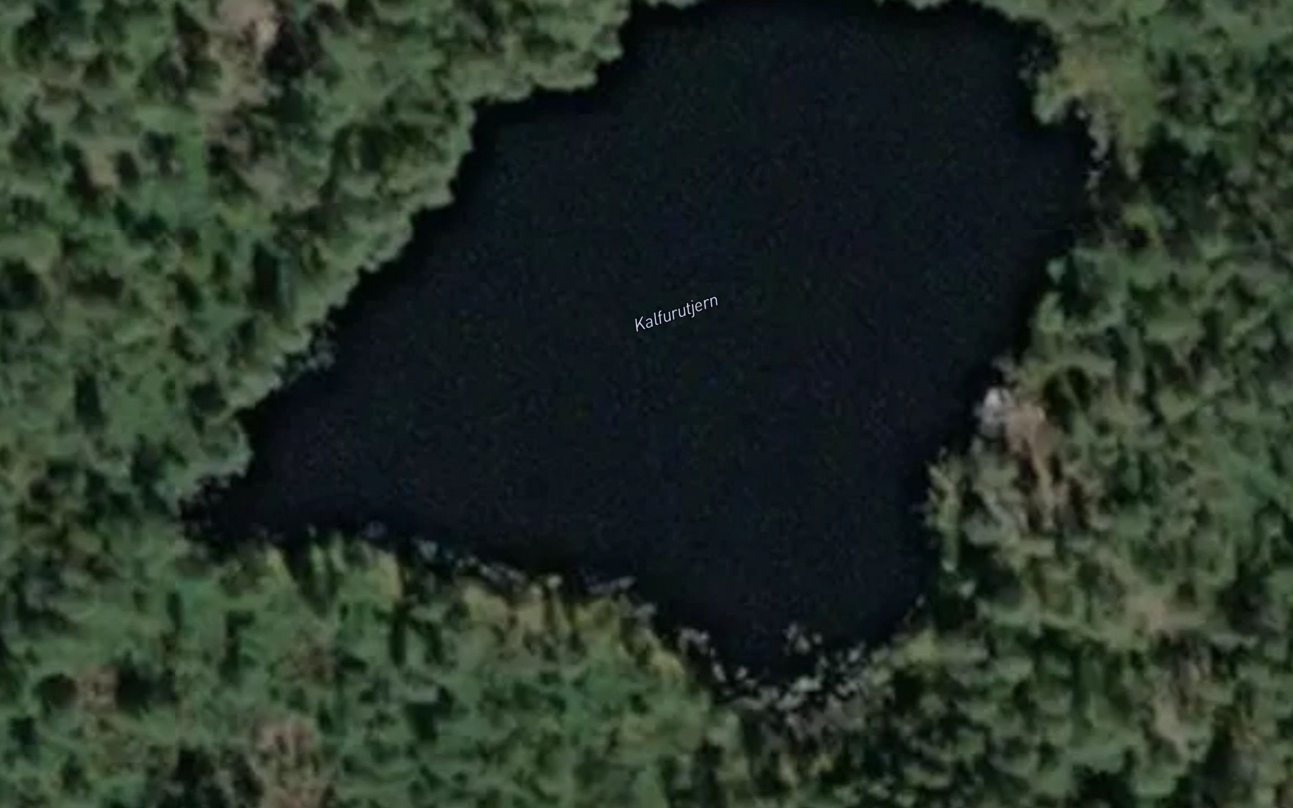 Kalfurutjern