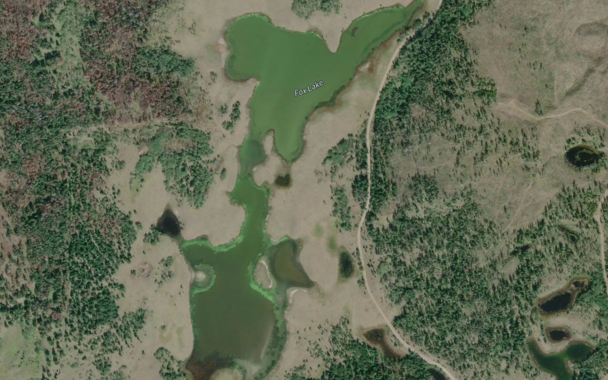 Fox Lake