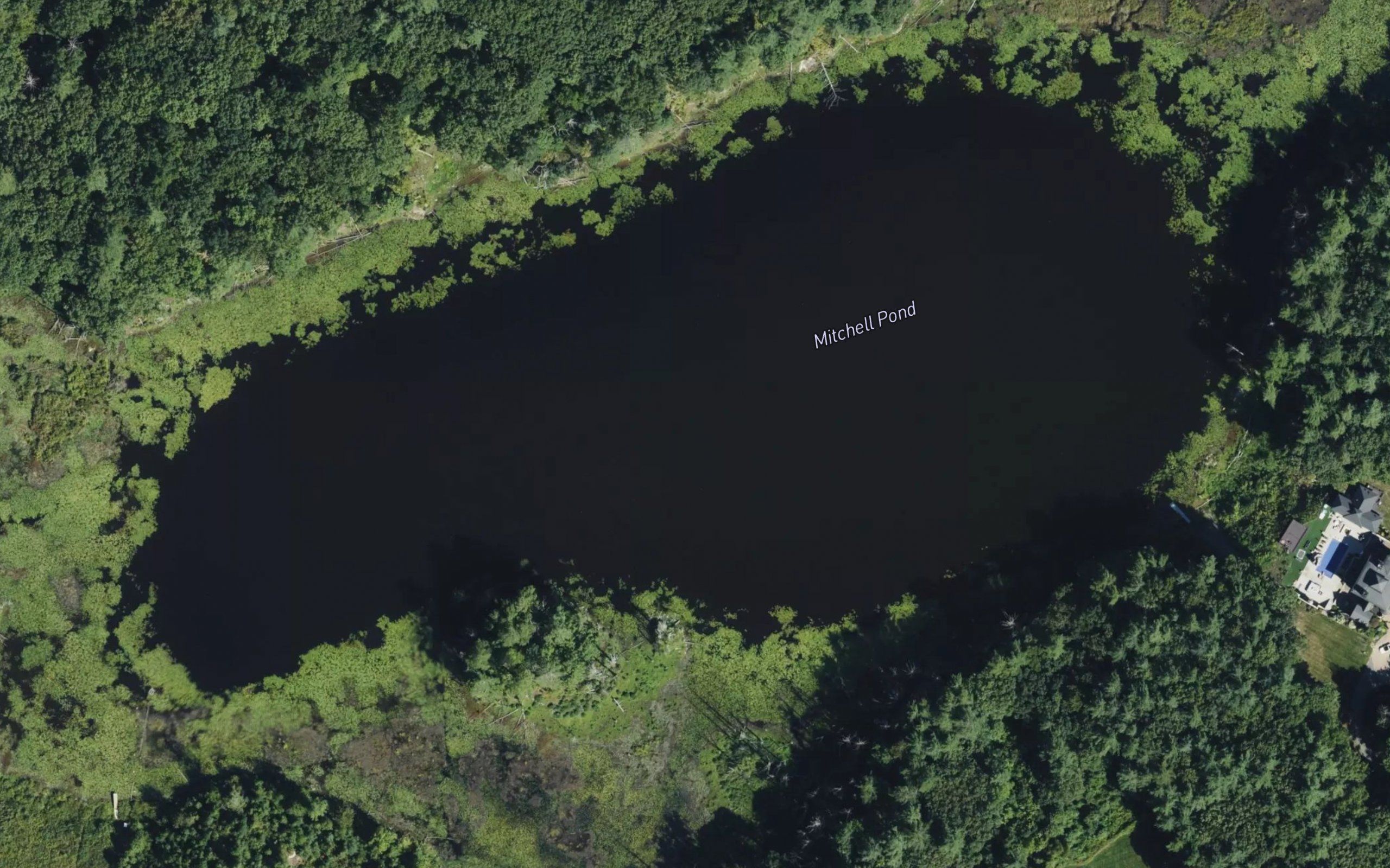 Mitchell Pond