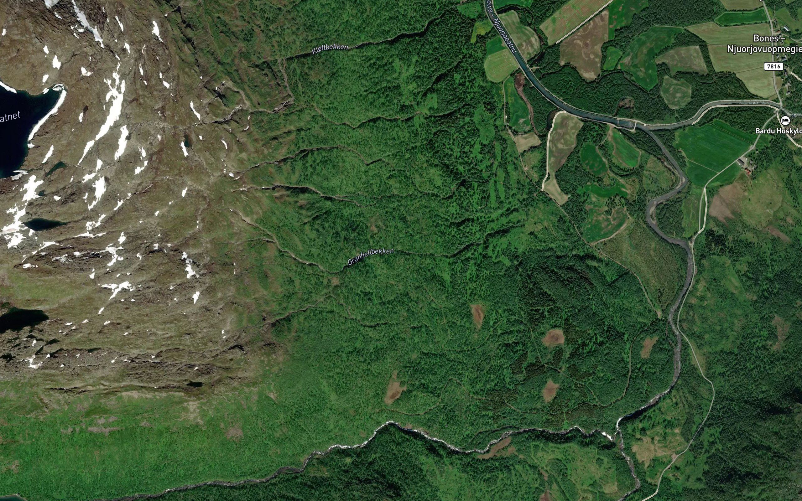 Gronfjellbekken