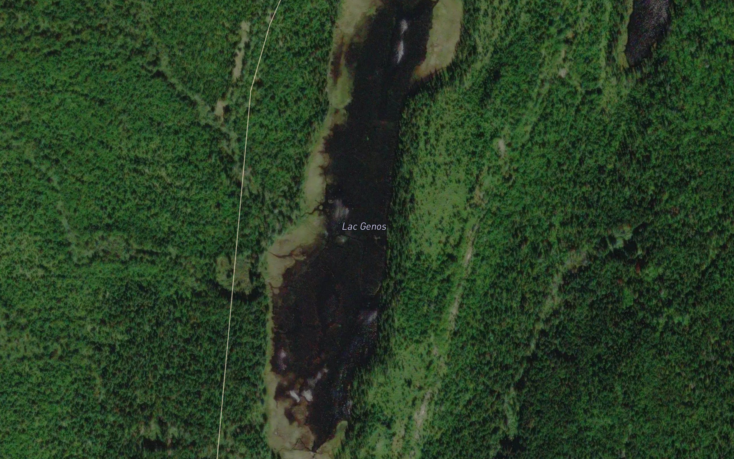 Lac Genos