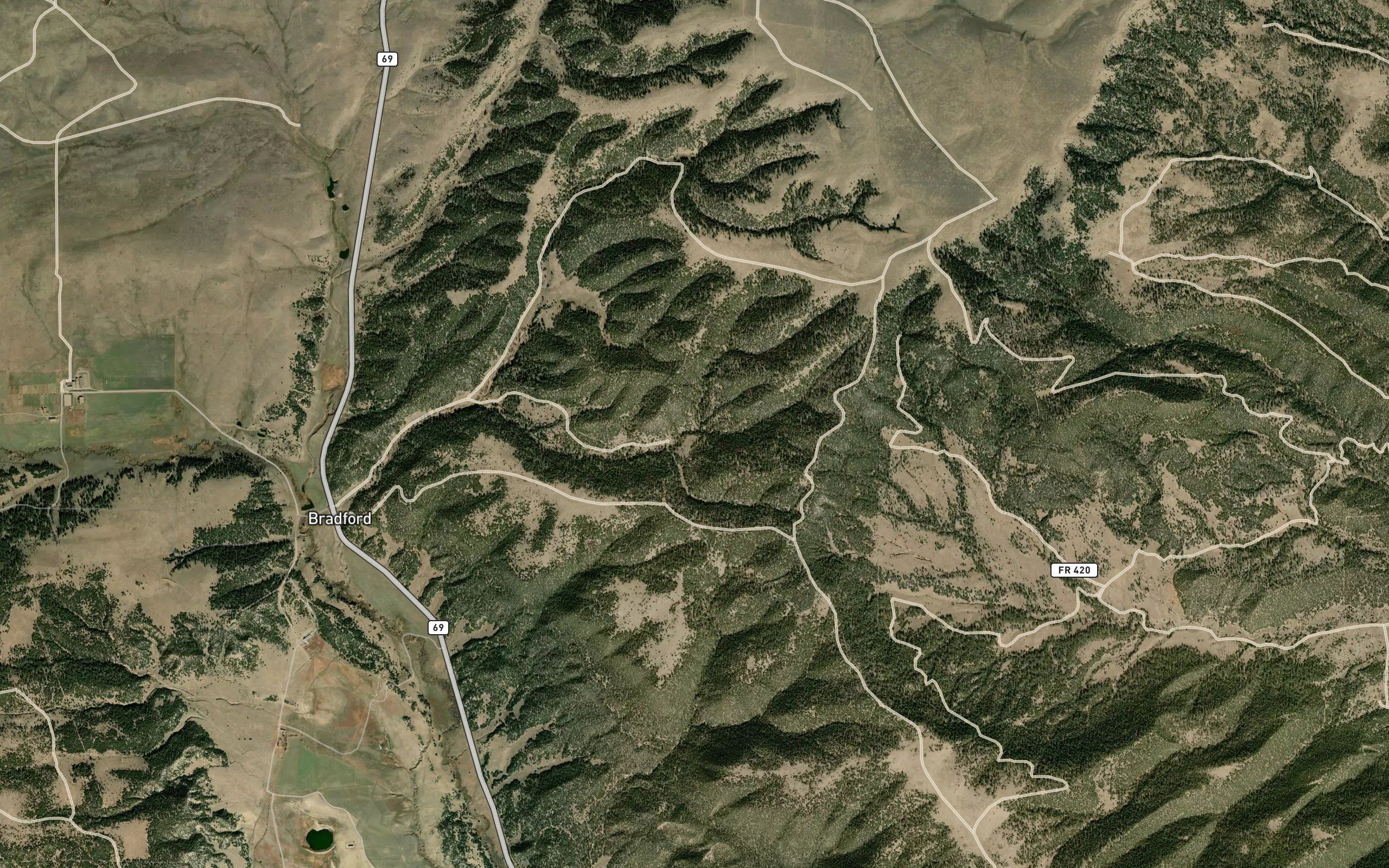 Troyer Spring