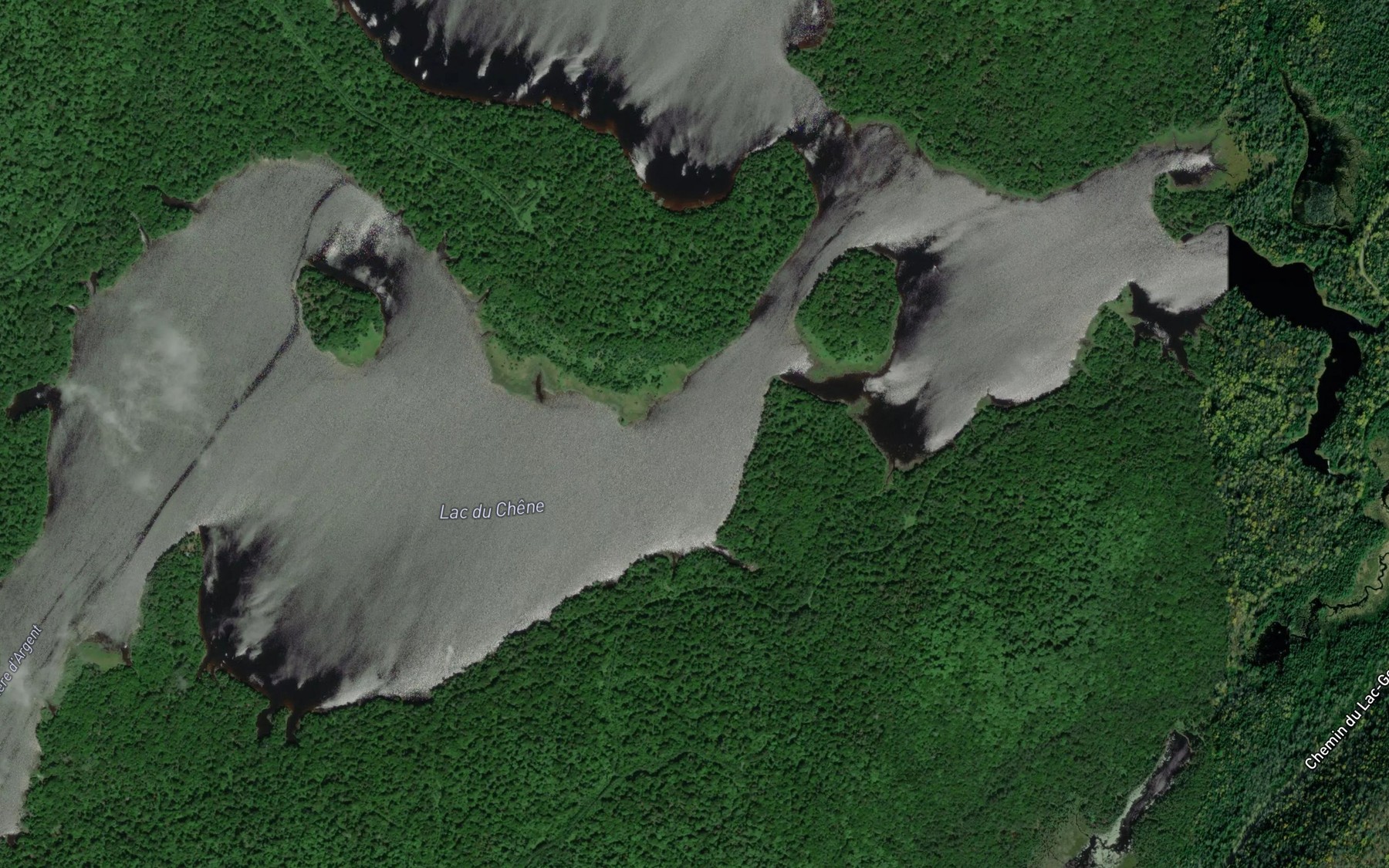 Satellite map of the Lac du Chene