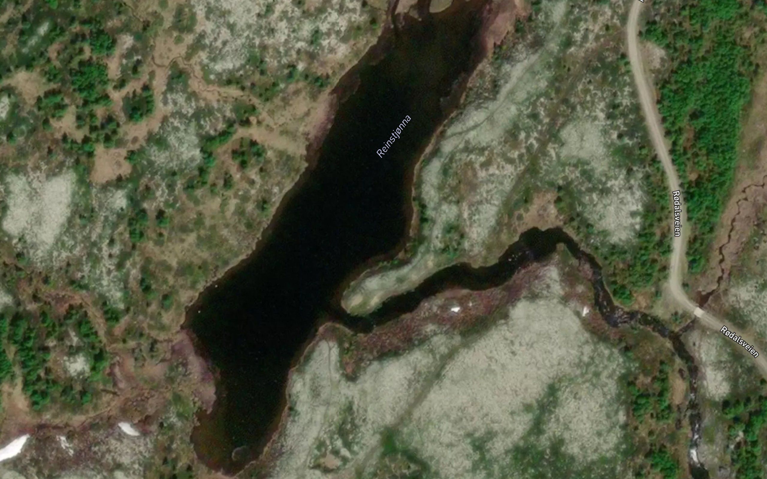 Reinstjorna