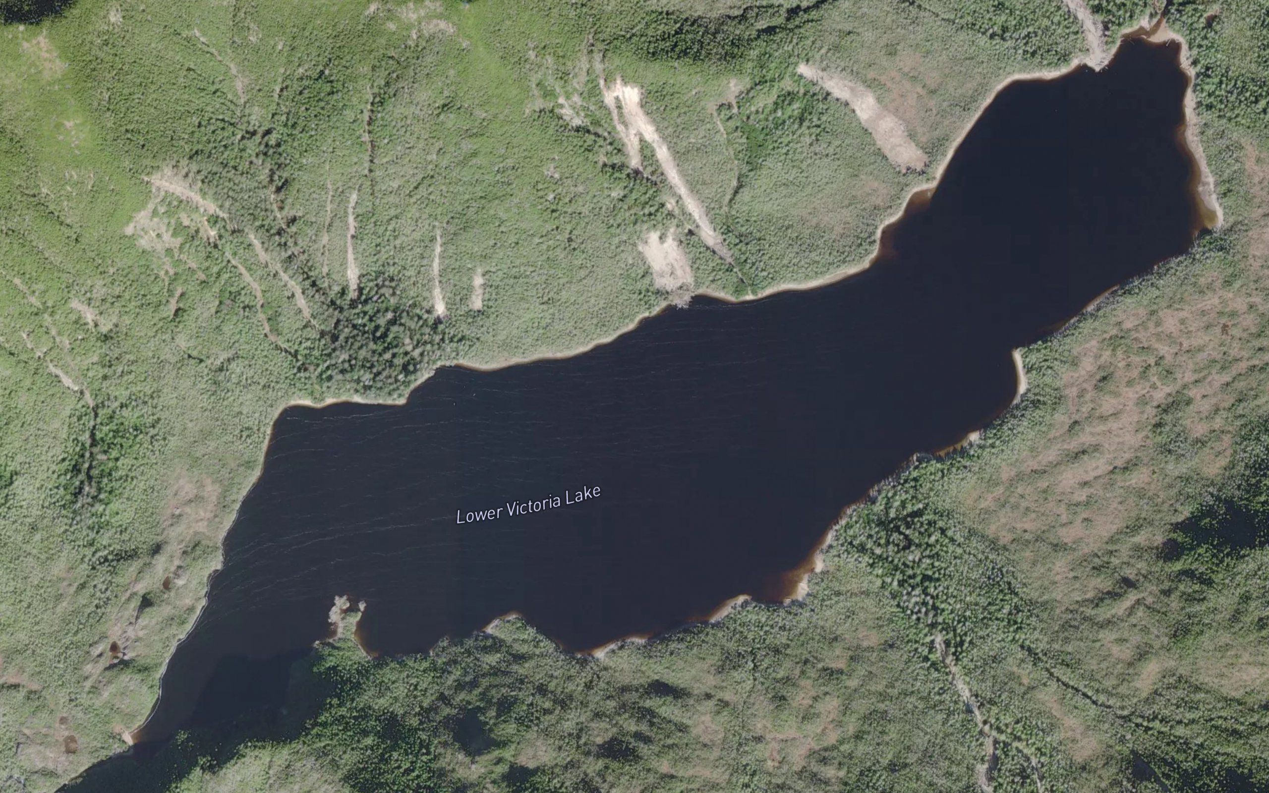 Lower Victoria Lake