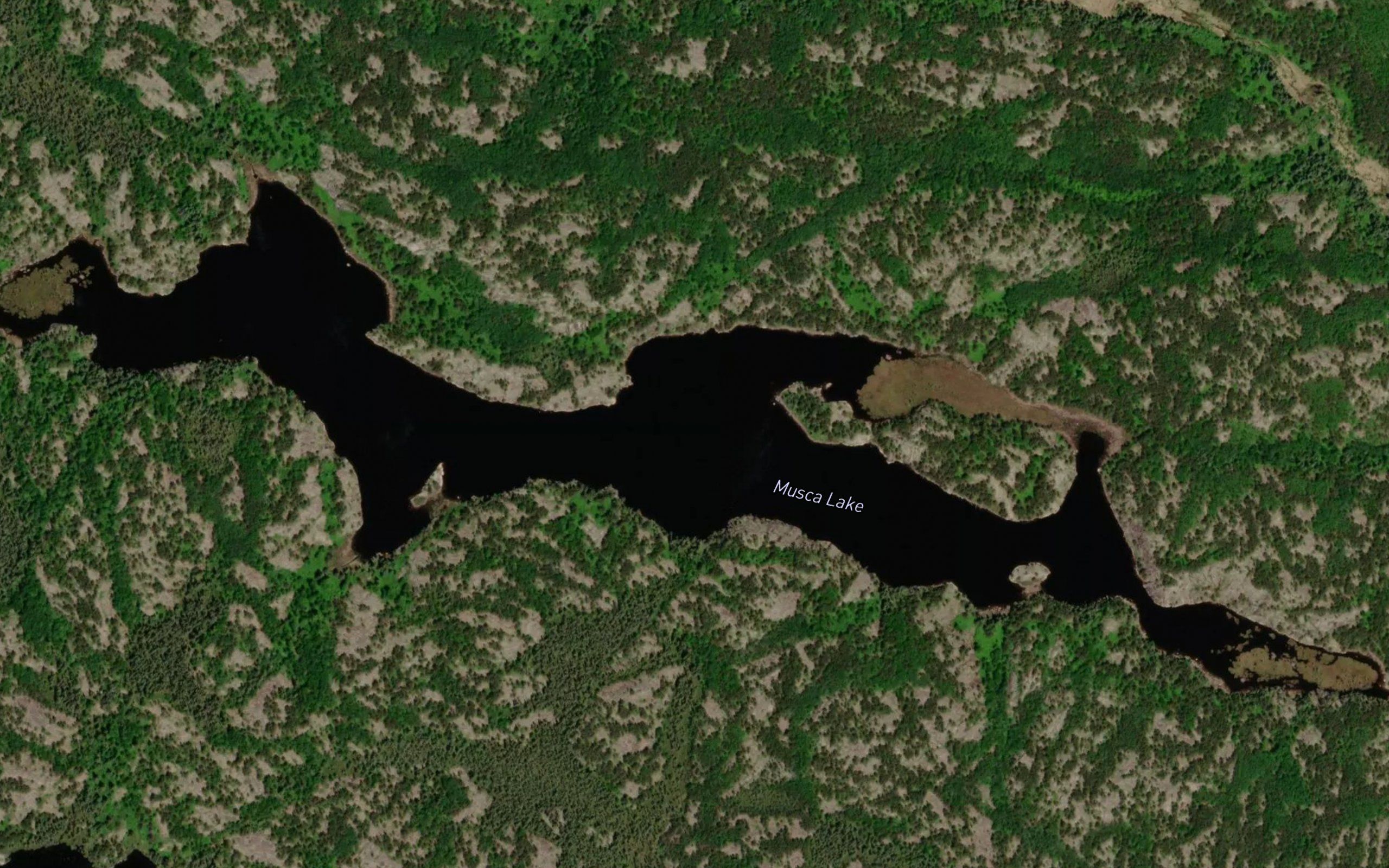 Musca Lake