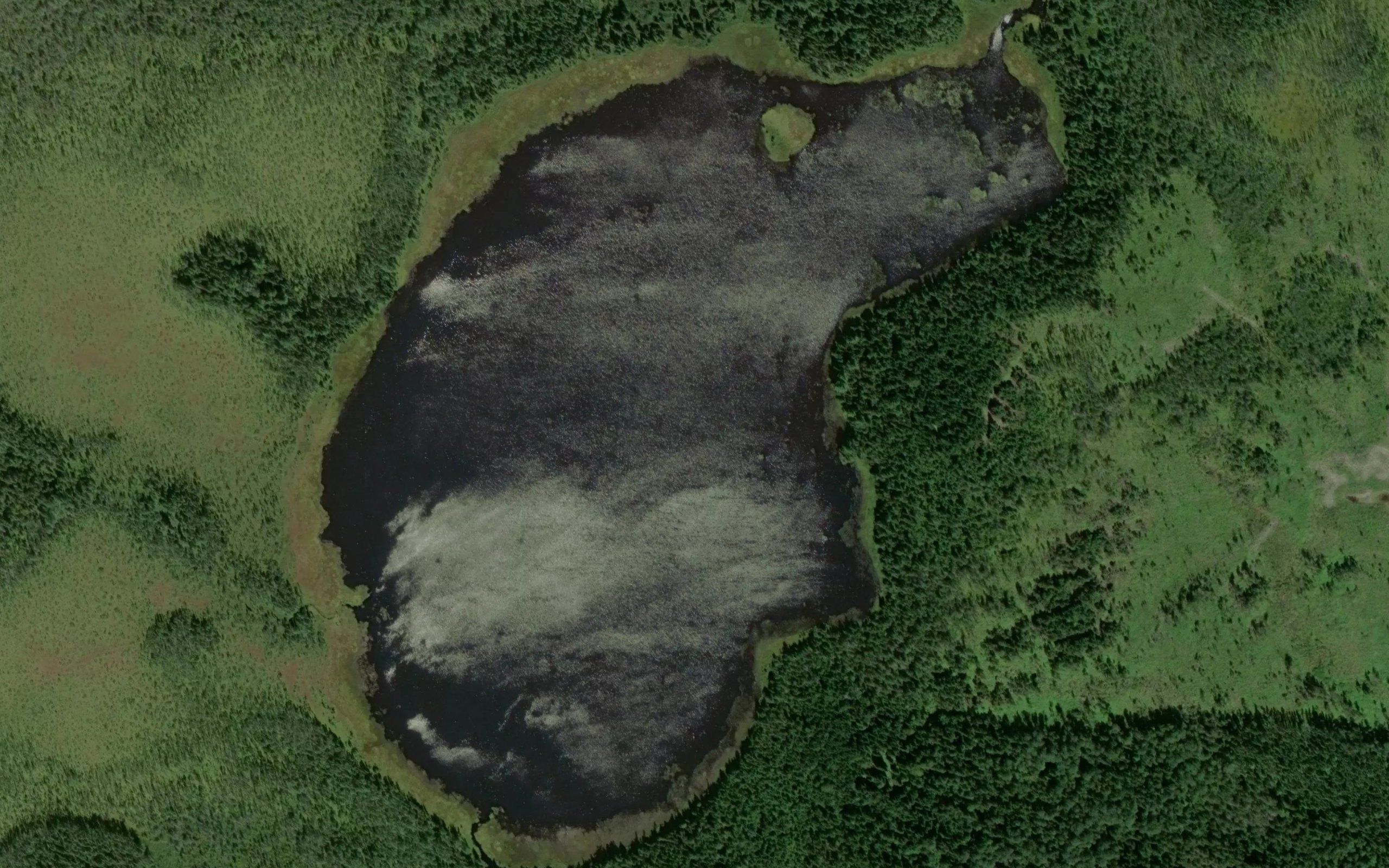 Burntland Pond