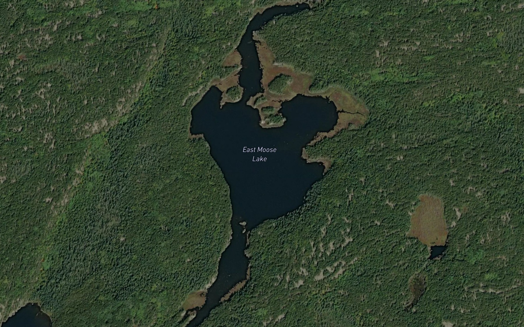 Satellite map of the East Moose Lake