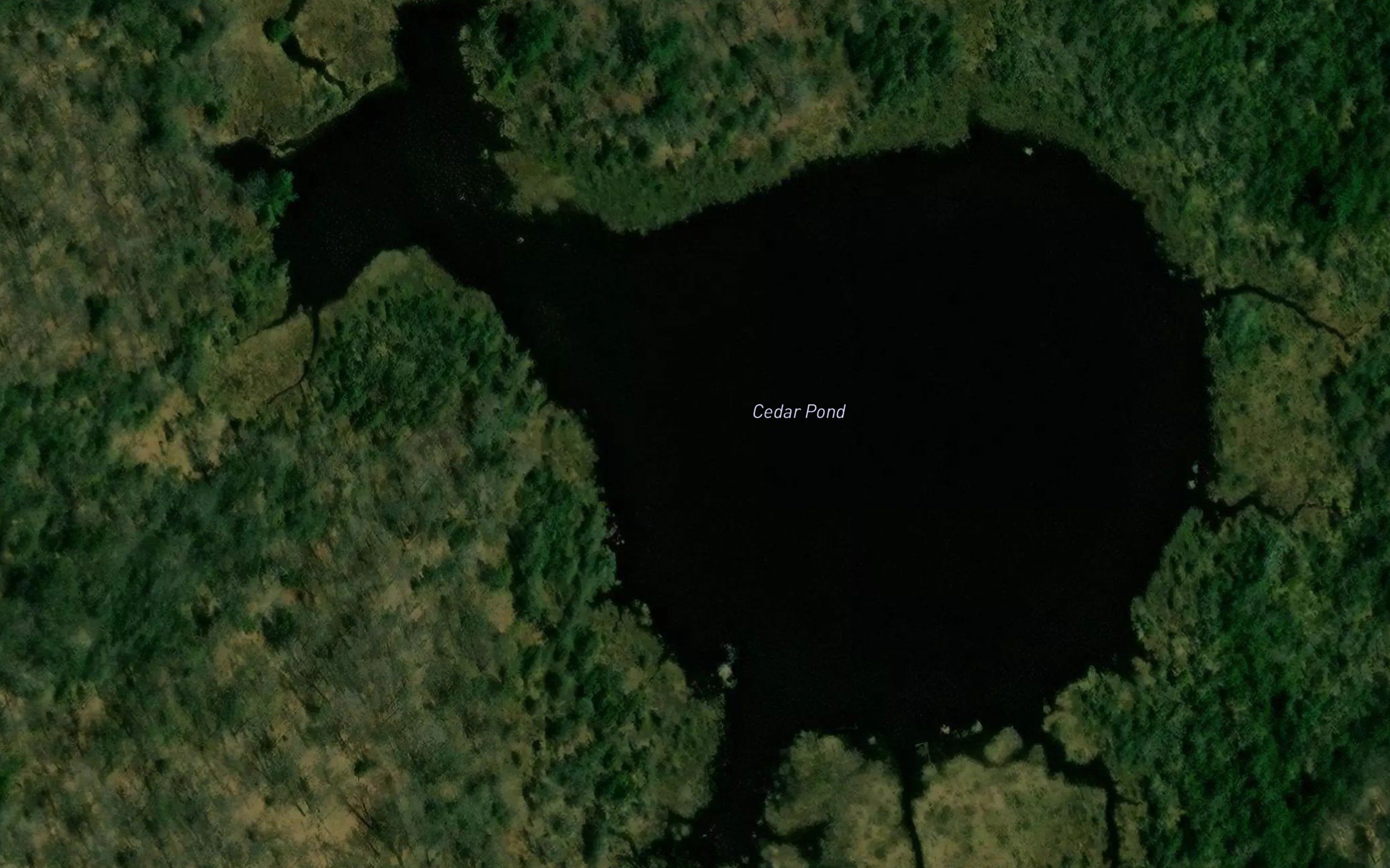 Cedar Pond