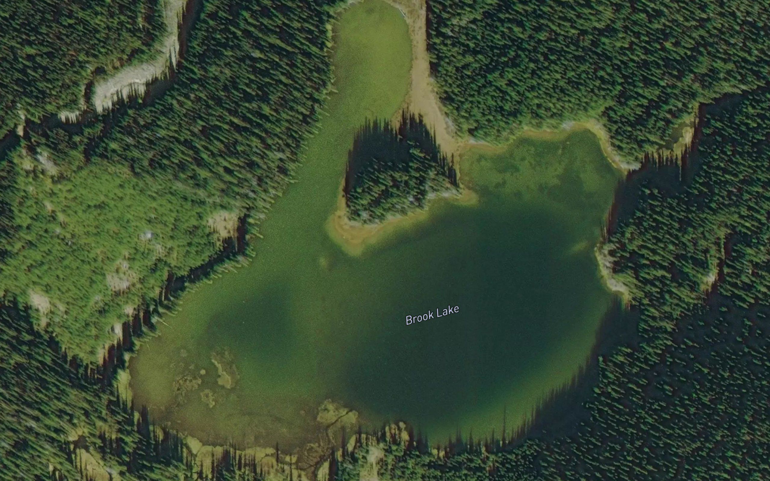 Brook Lake