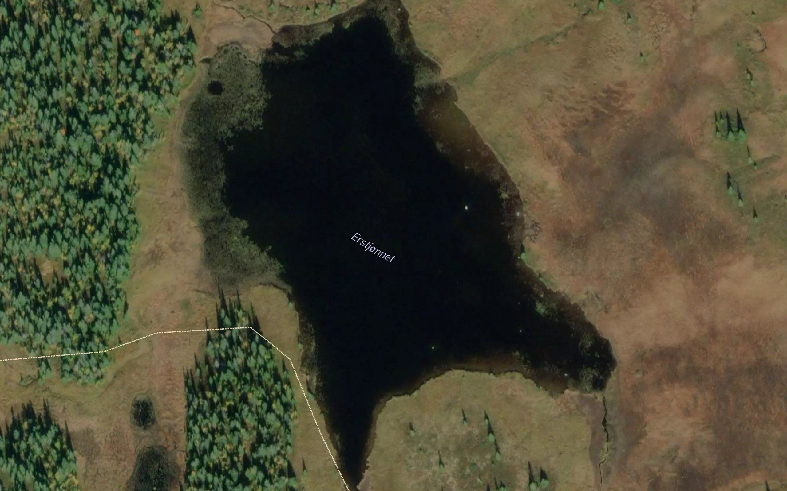 Erstjornet