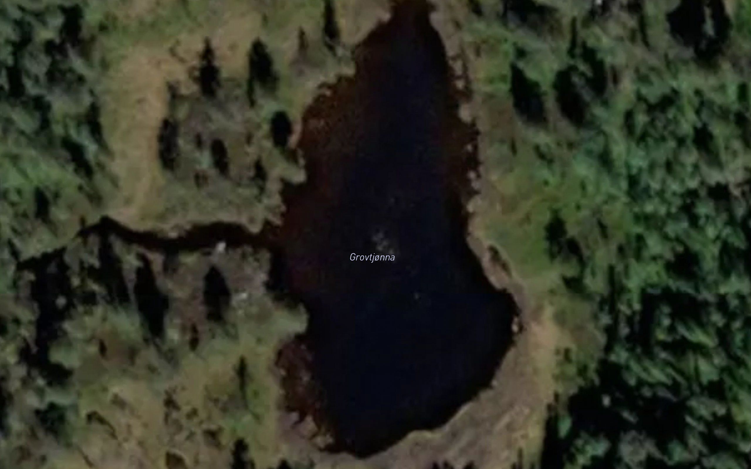 Grovtjorn