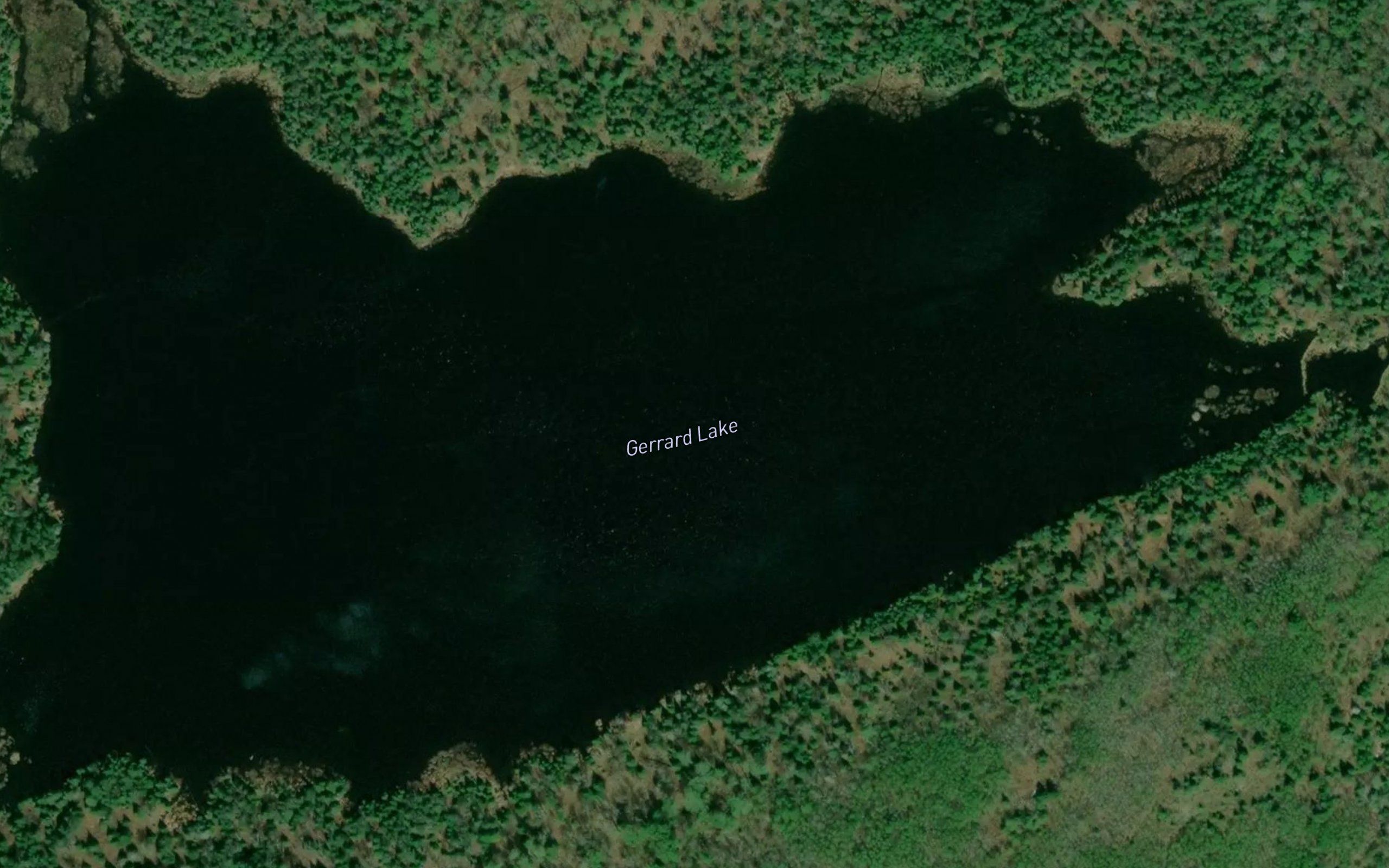 Gerrard Lake