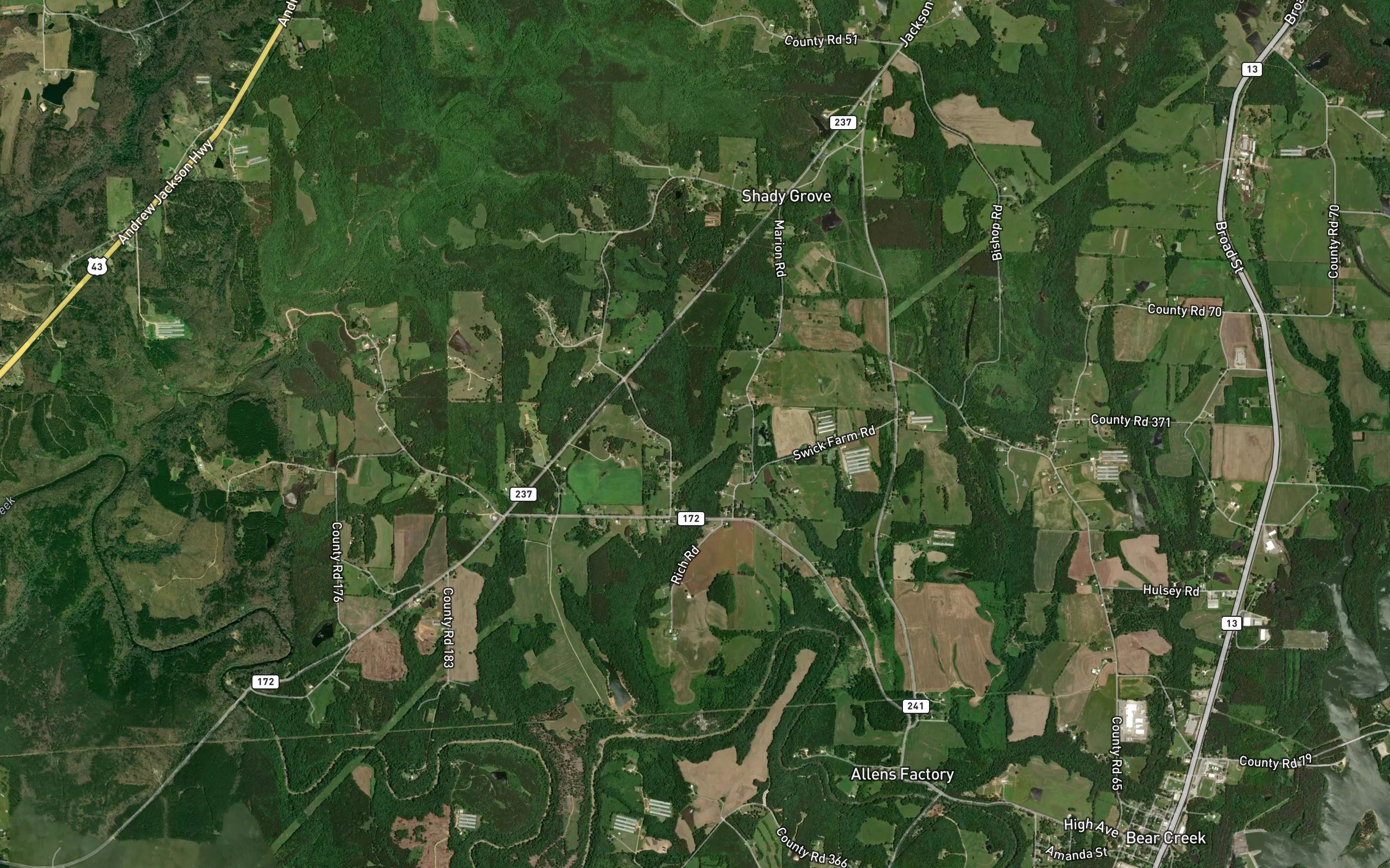 Trace Branch