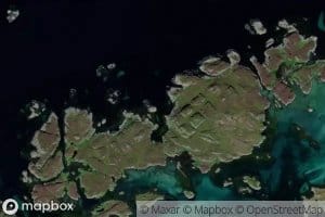 Hogvaervika