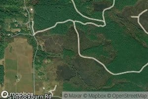 Sams Ponds