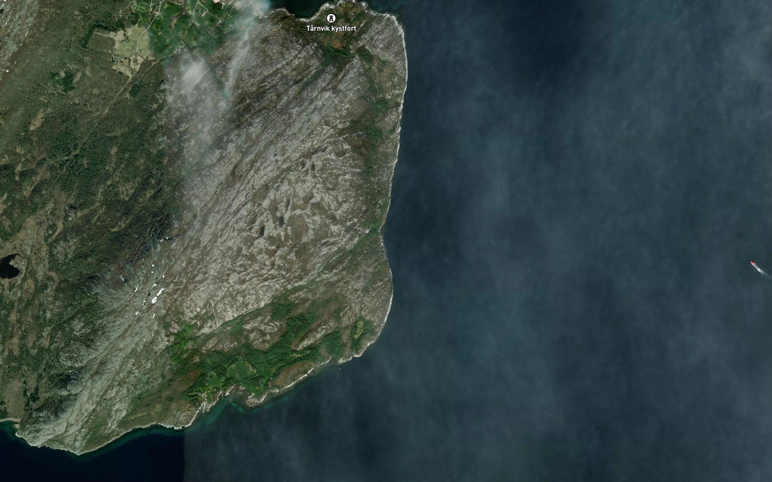 Buksvika