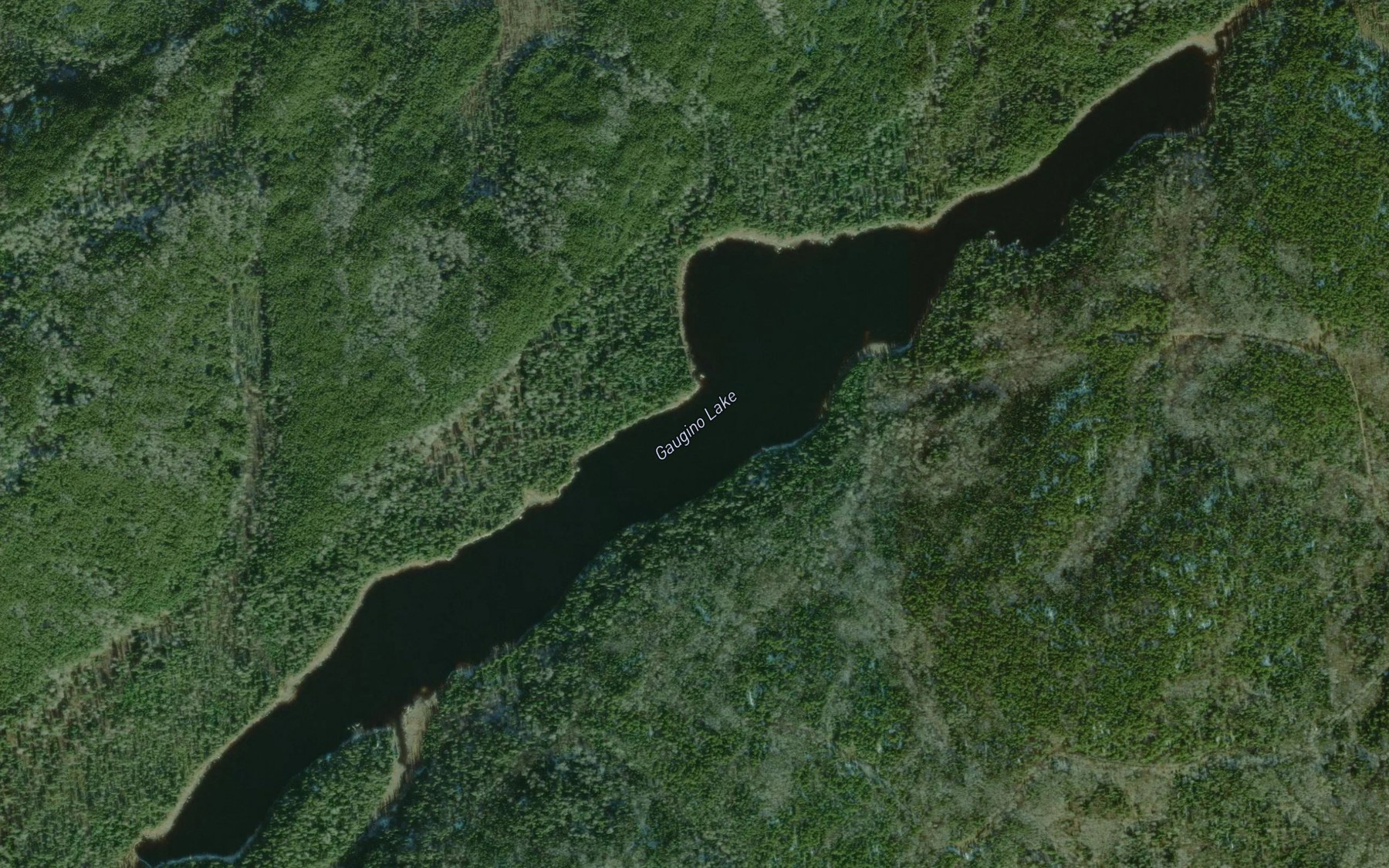 Satellite map of the Gaugino Lake