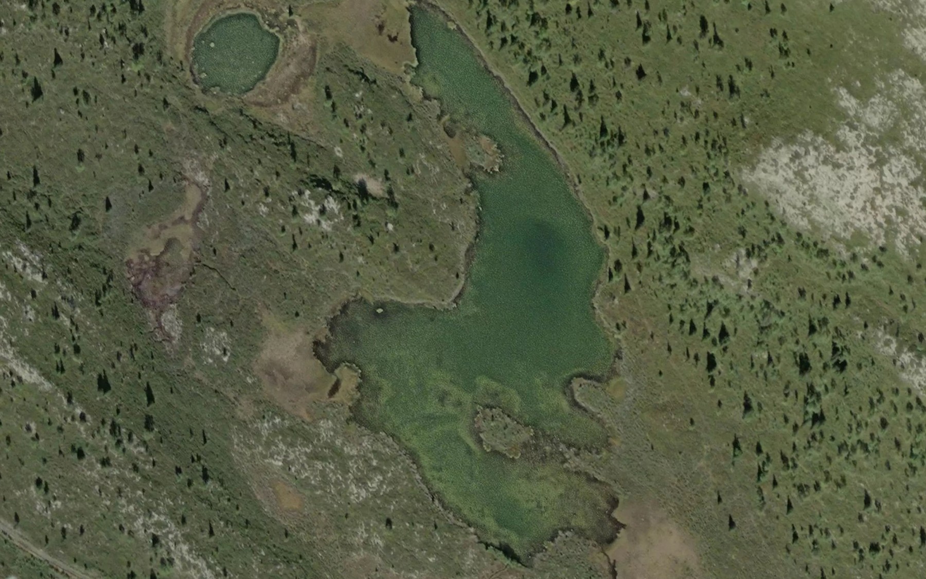 Satellite map of the Guttormtjorni