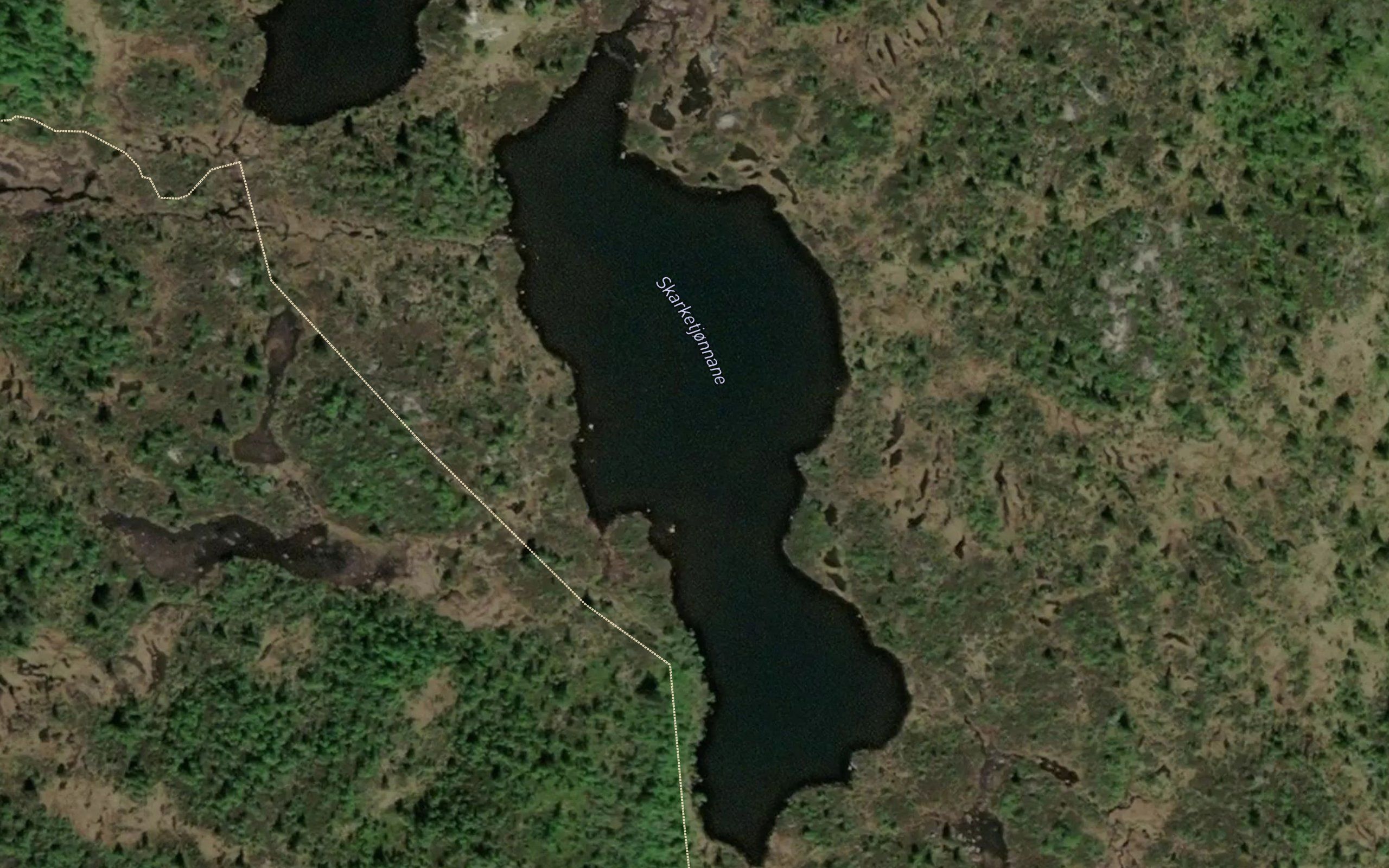 Skarketjonnane