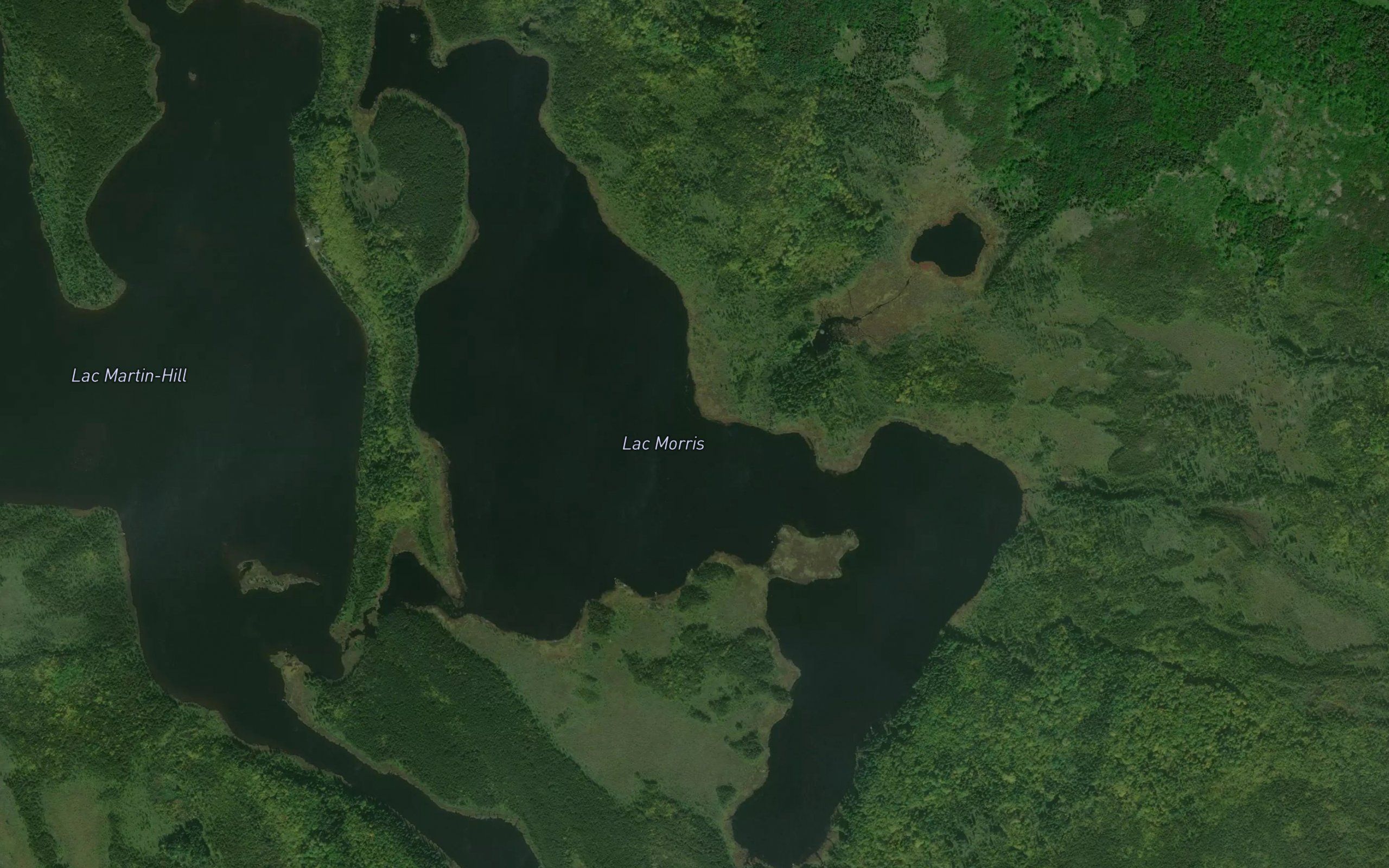Lac Morris