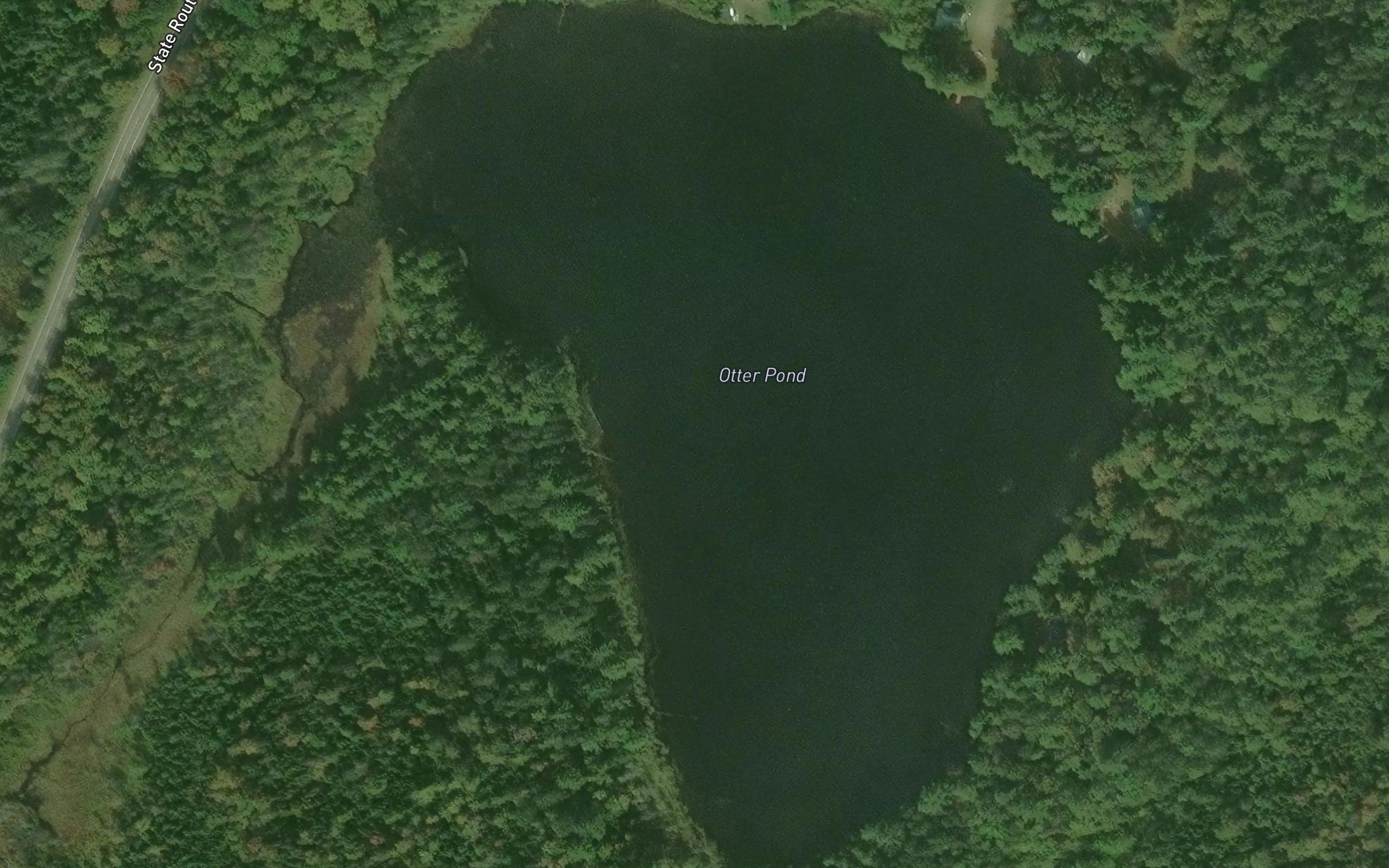 Otter Pond